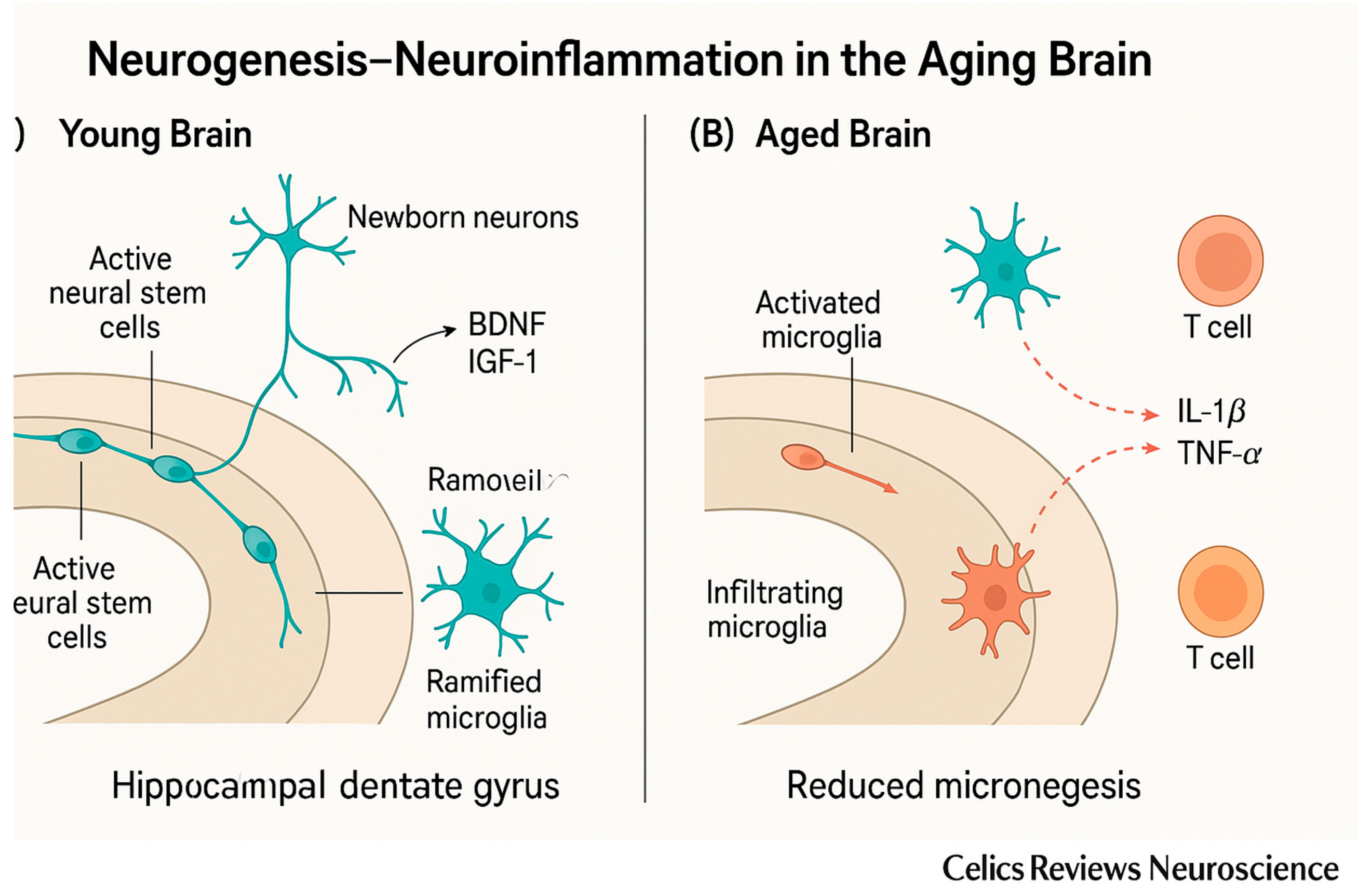 Preprints 181458 g001