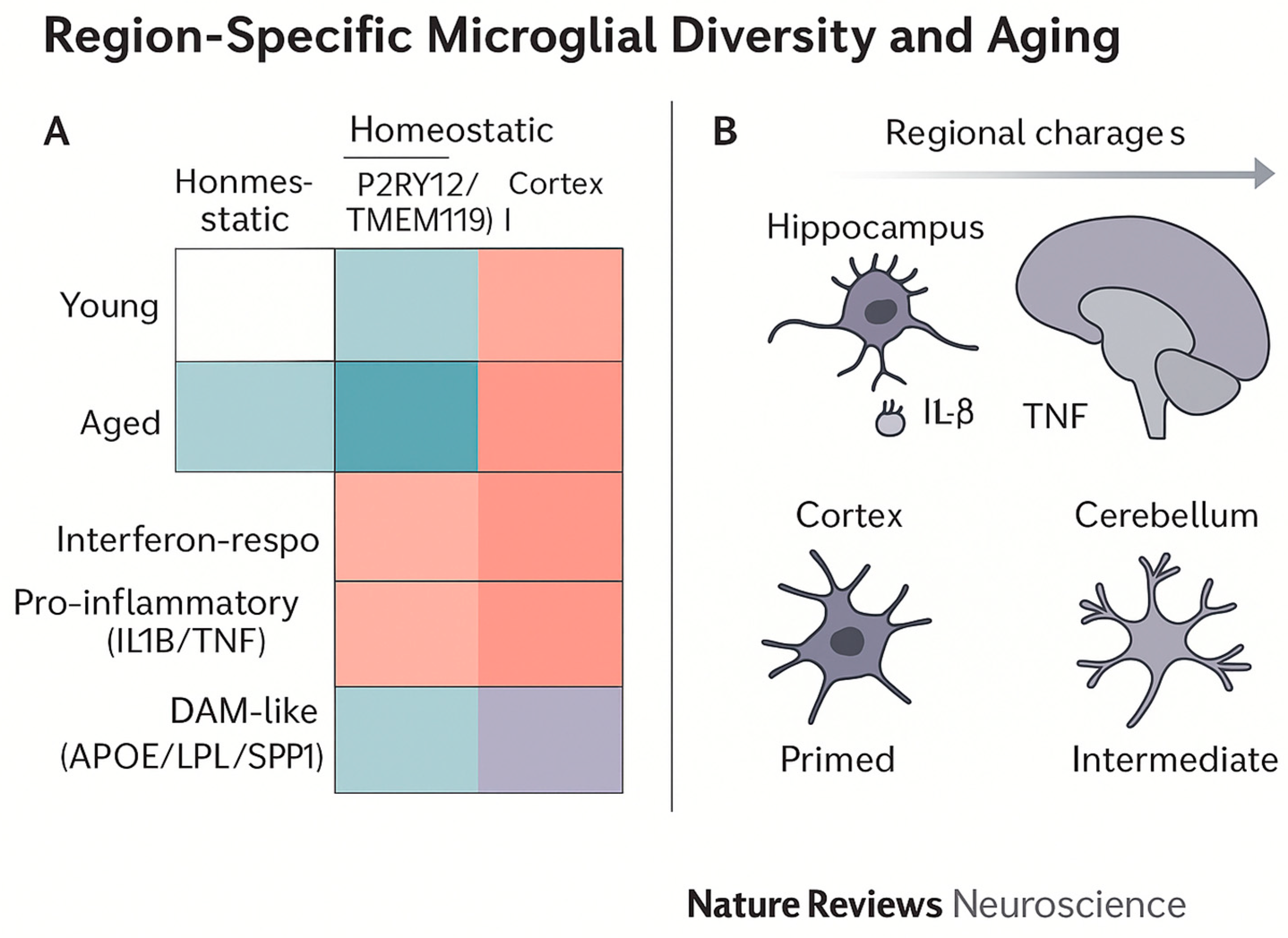 Preprints 181458 g002