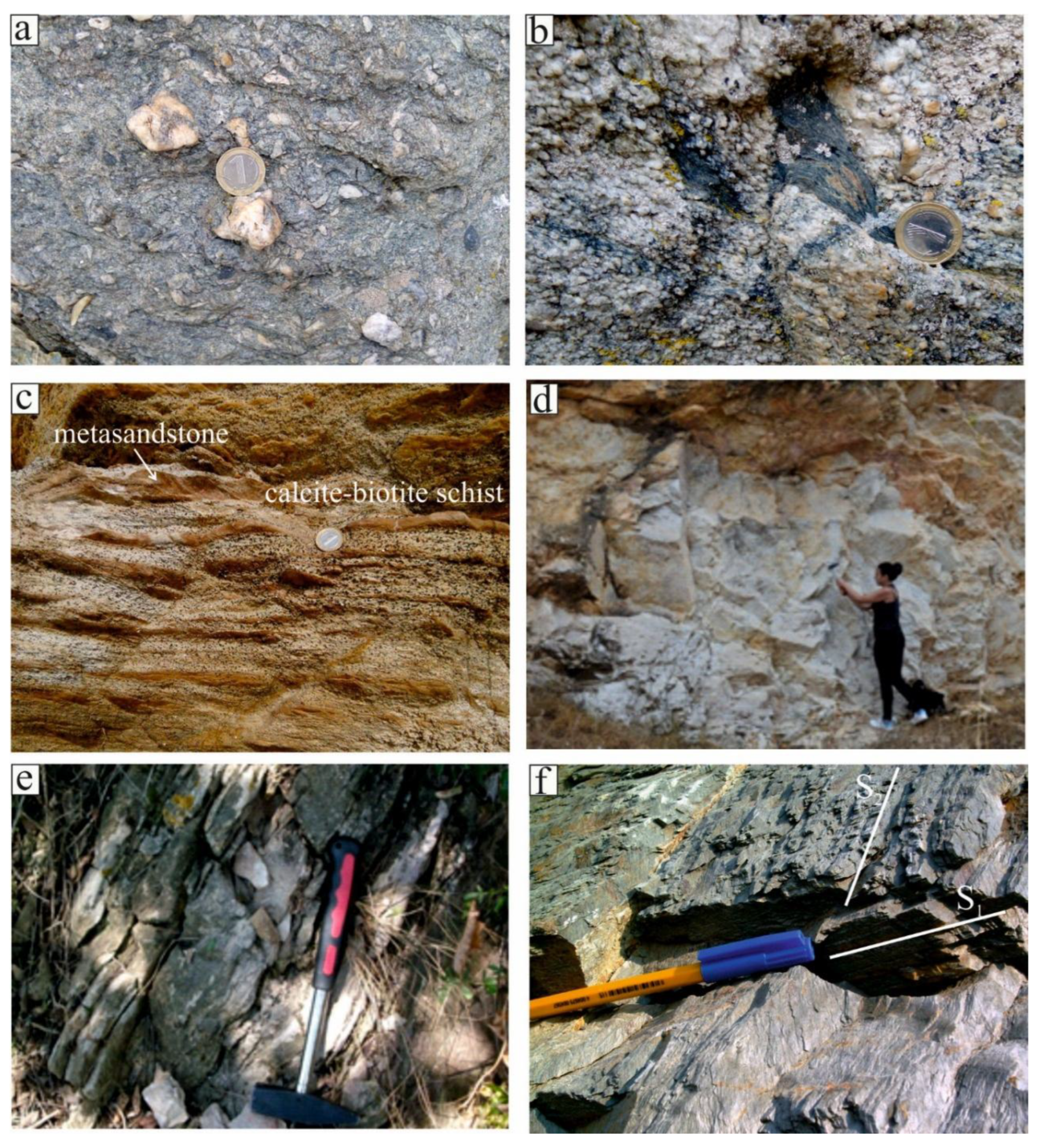 Preprints 166068 g002