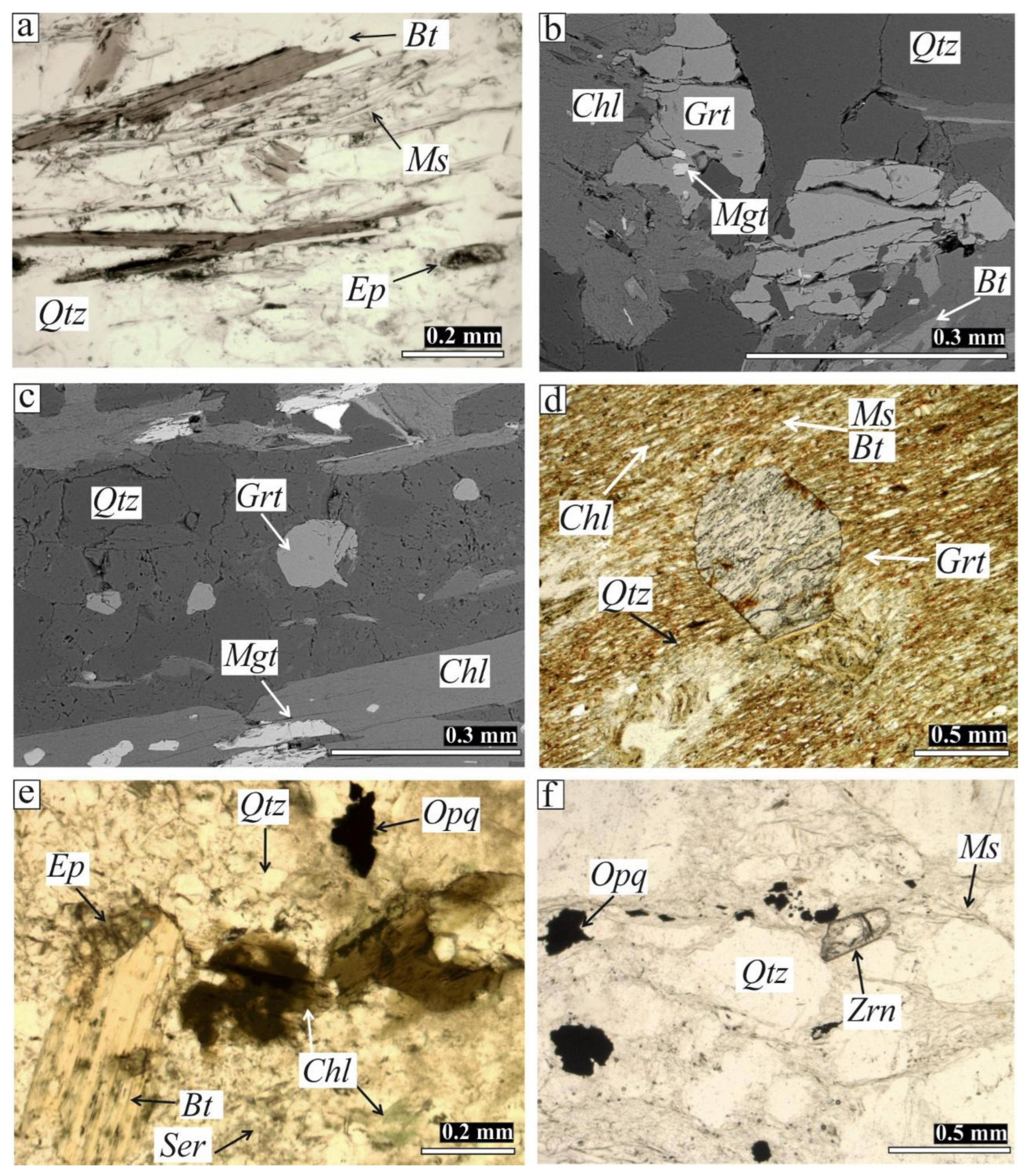 Preprints 166068 g004