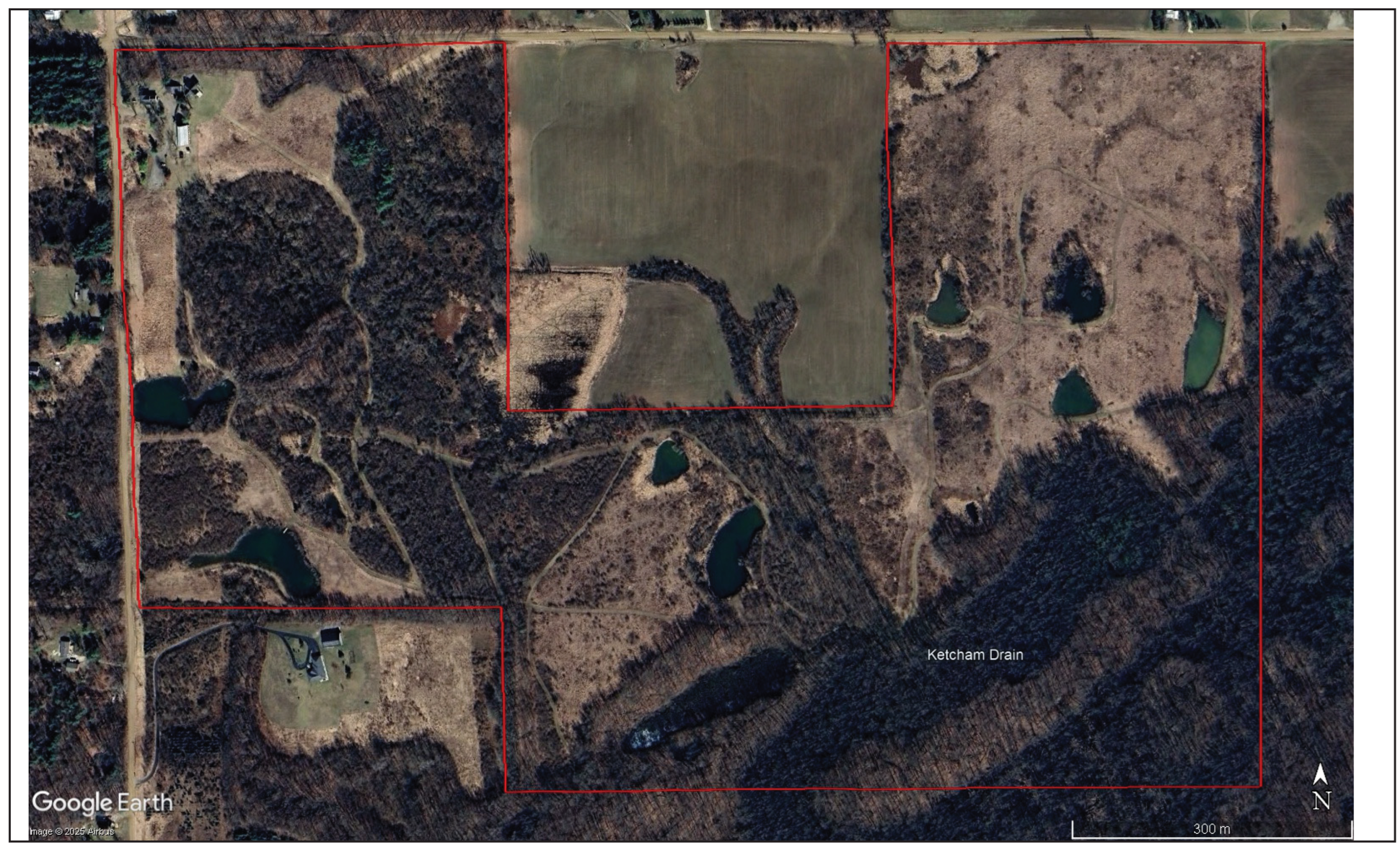 Preprints 170821 g001b