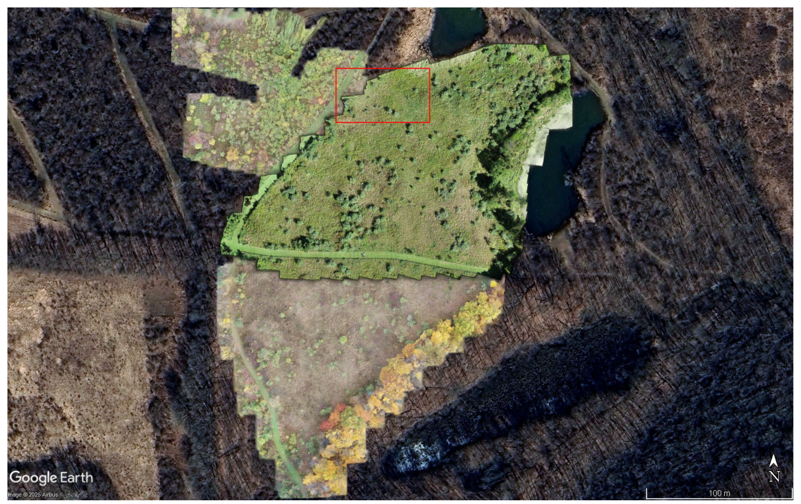 Preprints 170821 g002