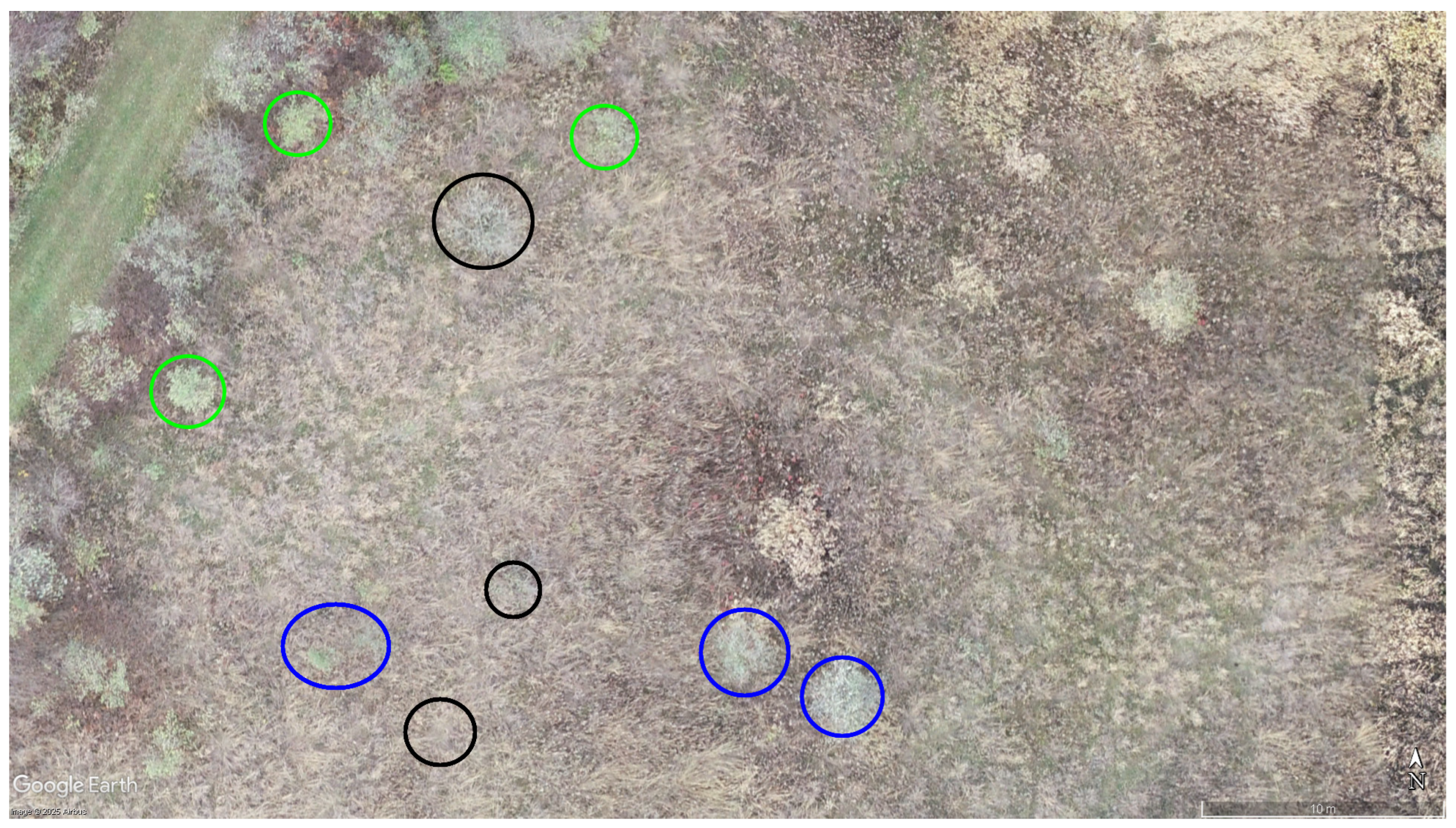 Preprints 170821 g003