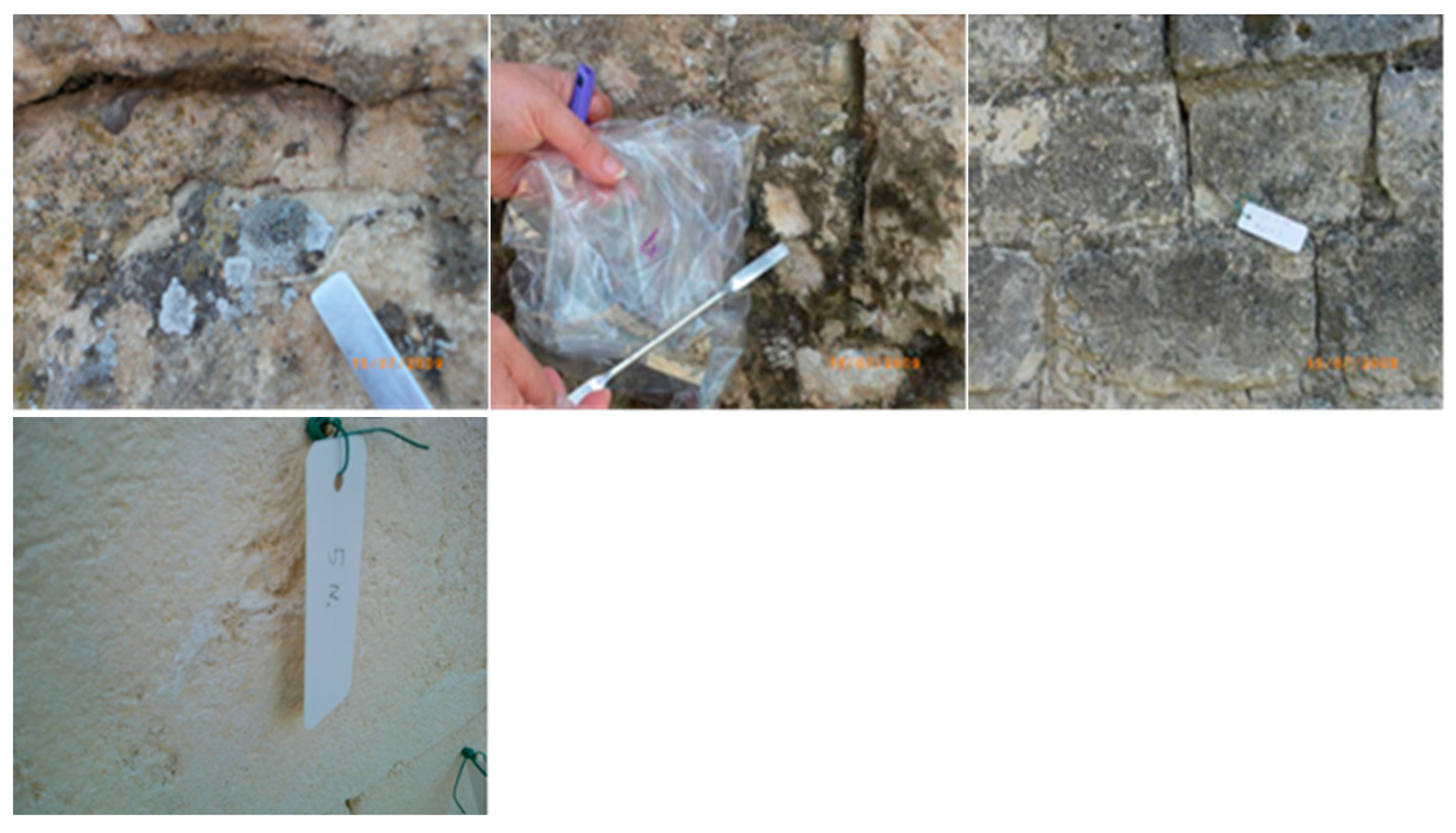 Preprints 158697 g002