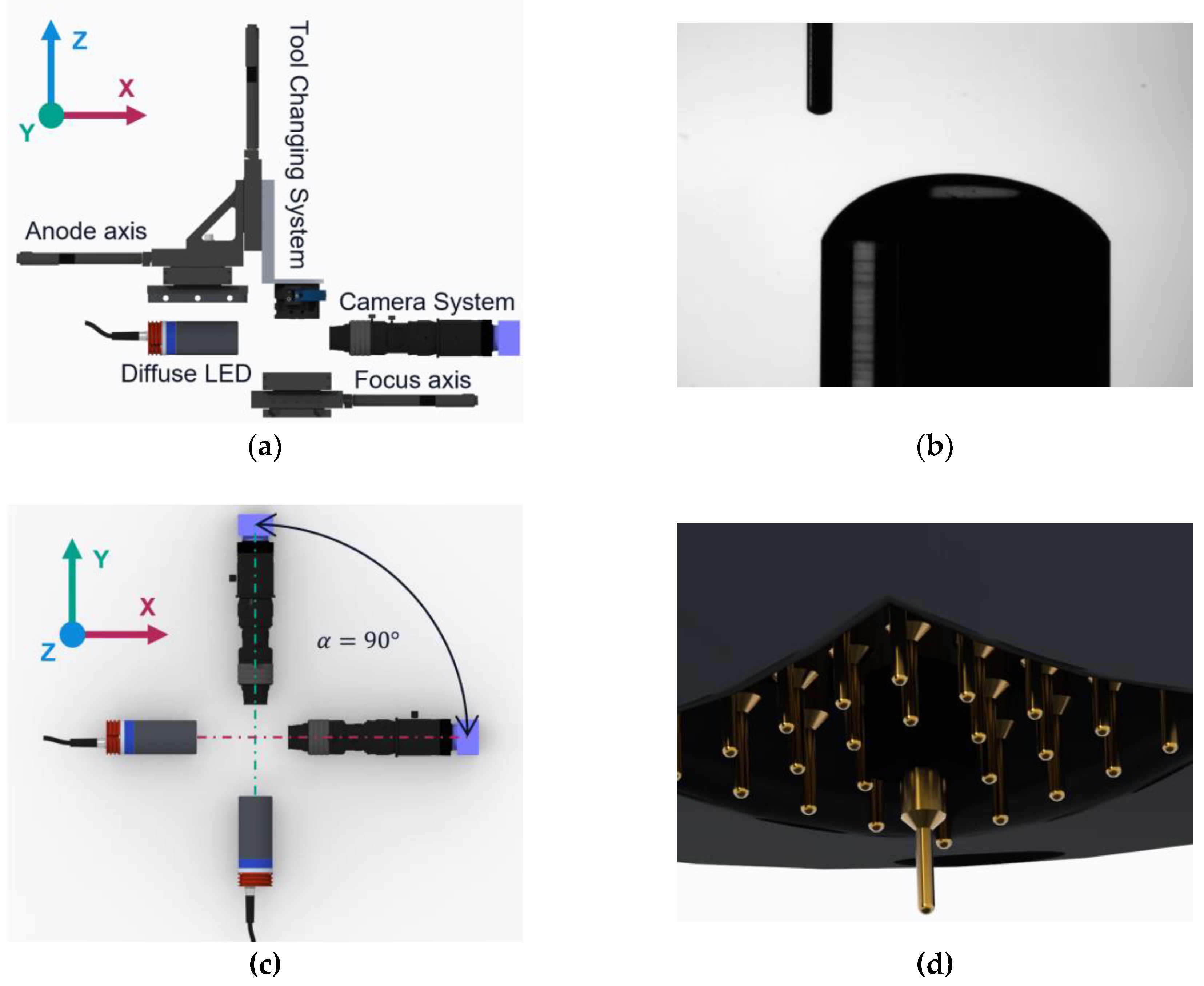 Preprints 167698 g001