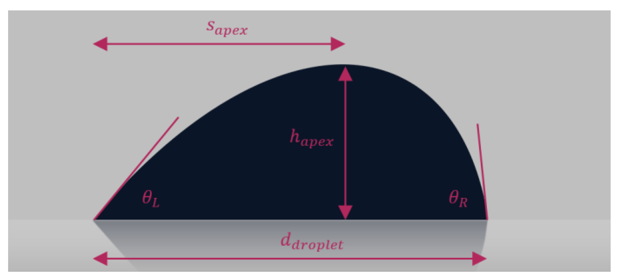 Preprints 167698 g006