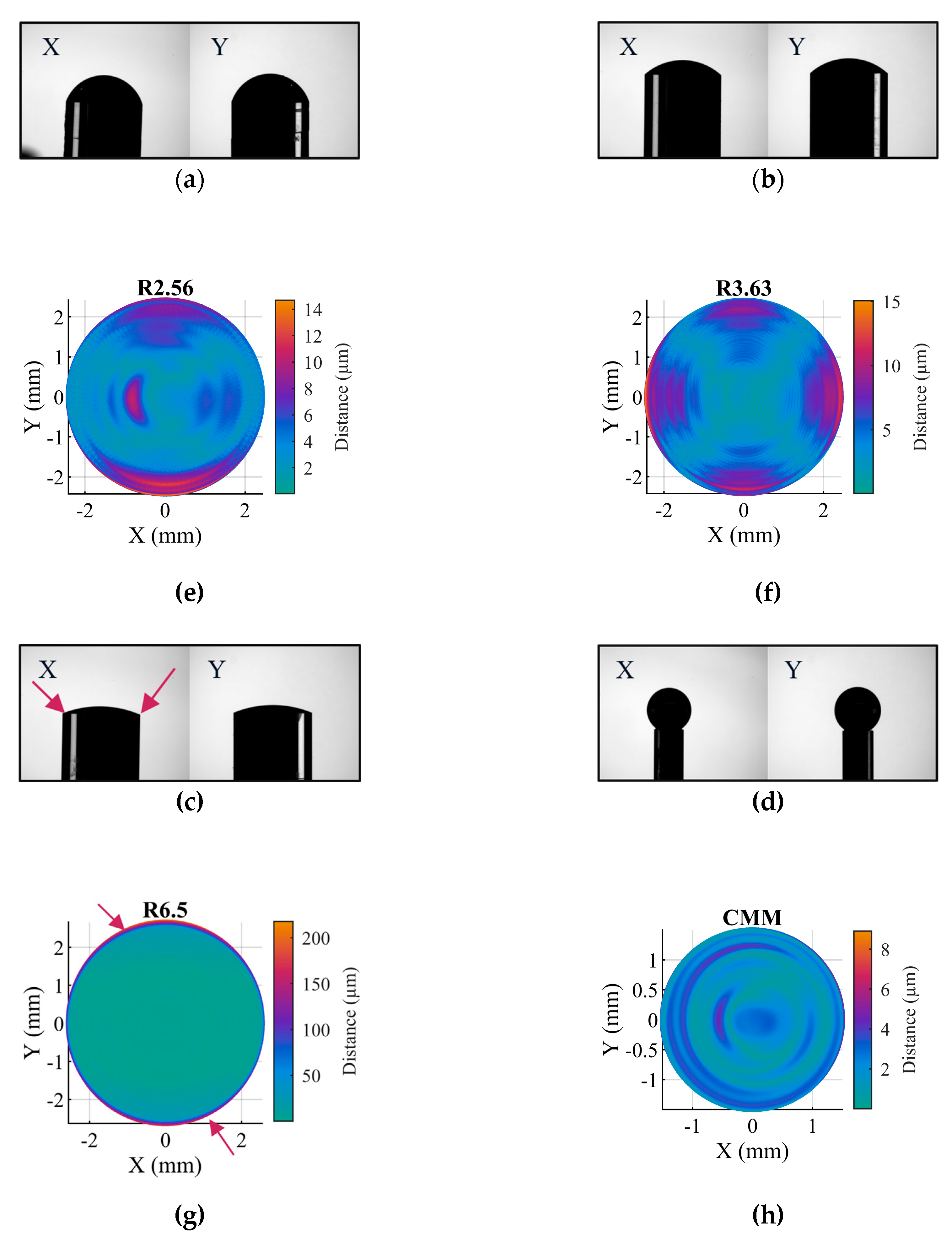 Preprints 167698 g011