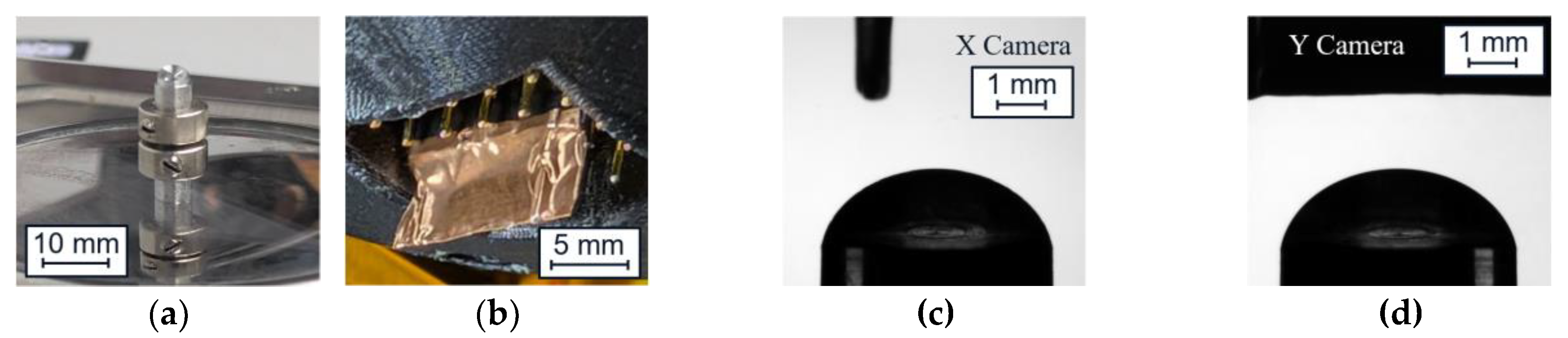 Preprints 167698 g014
