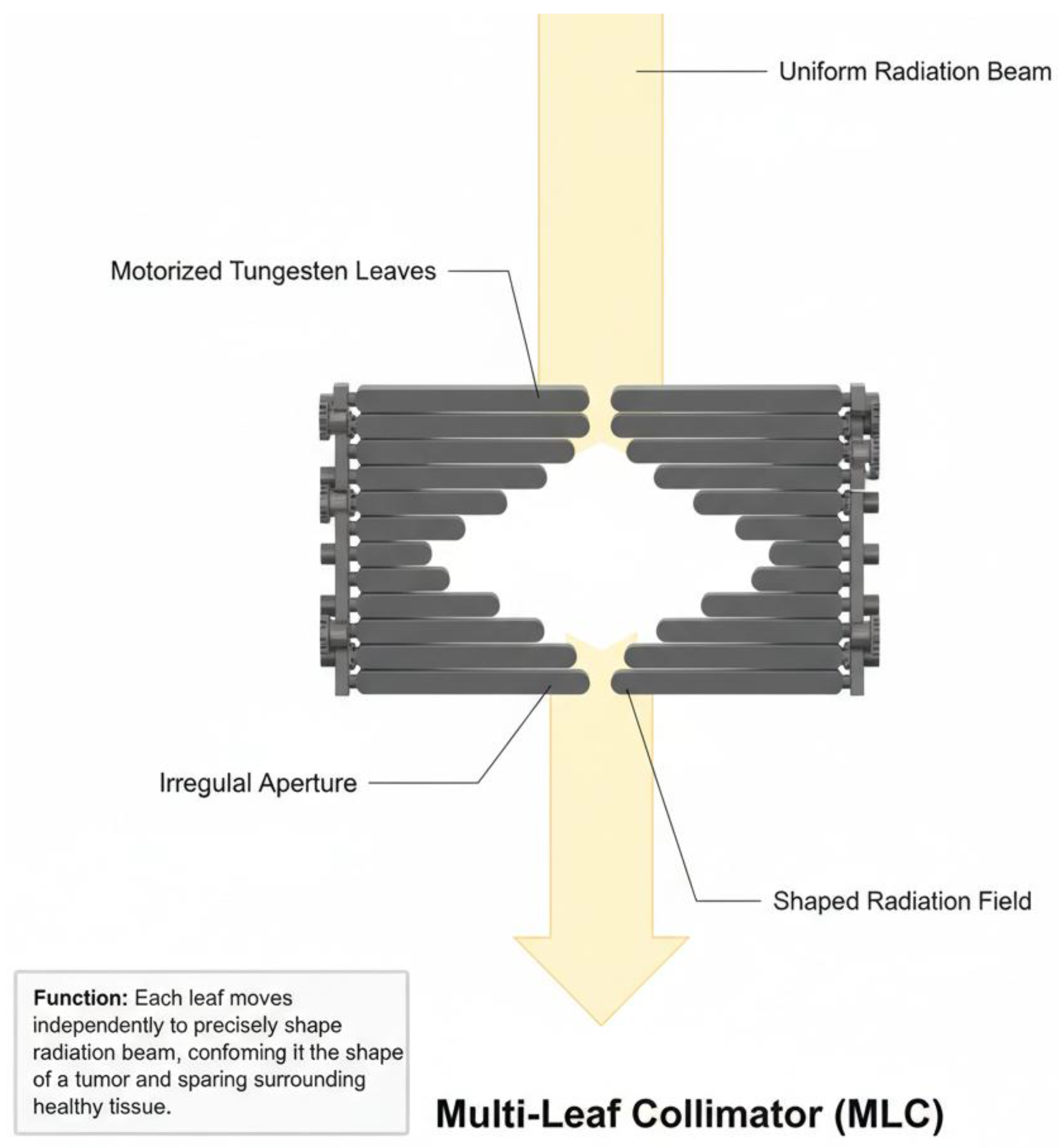 Preprints 190209 g002
