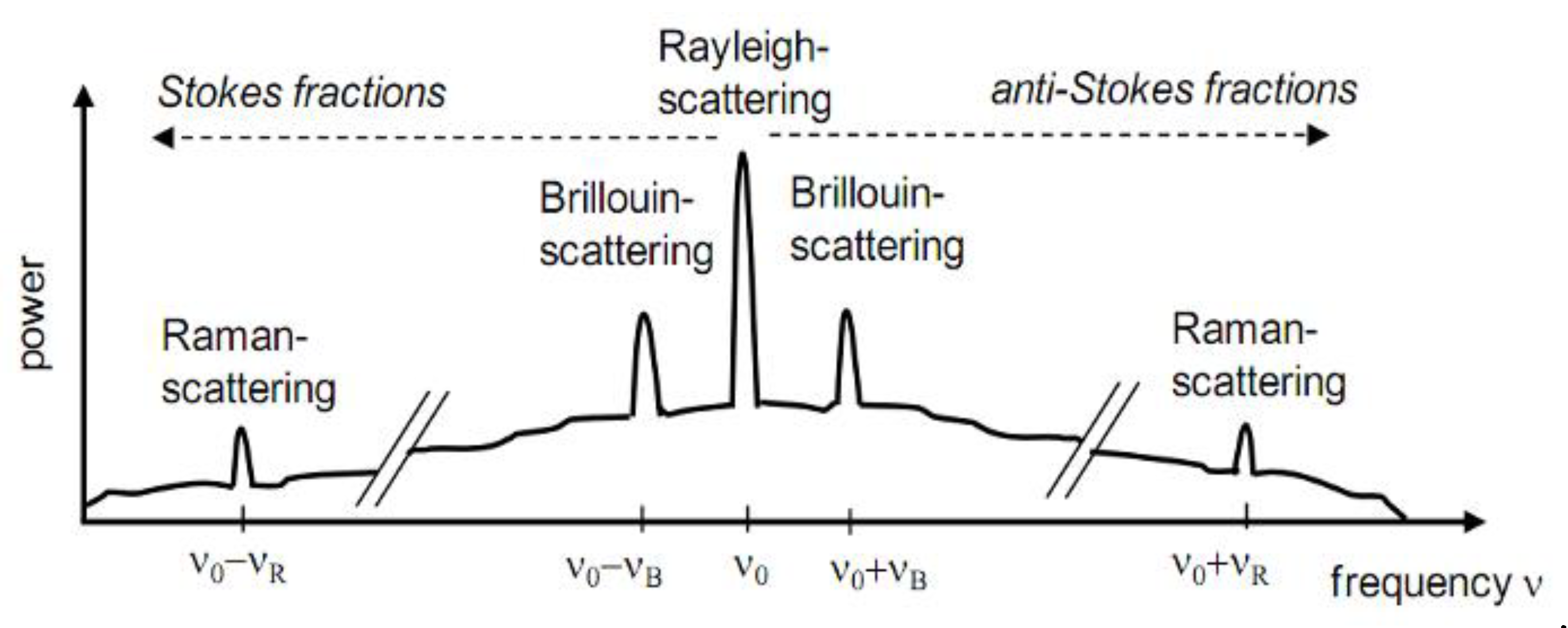 Preprints 72581 g001