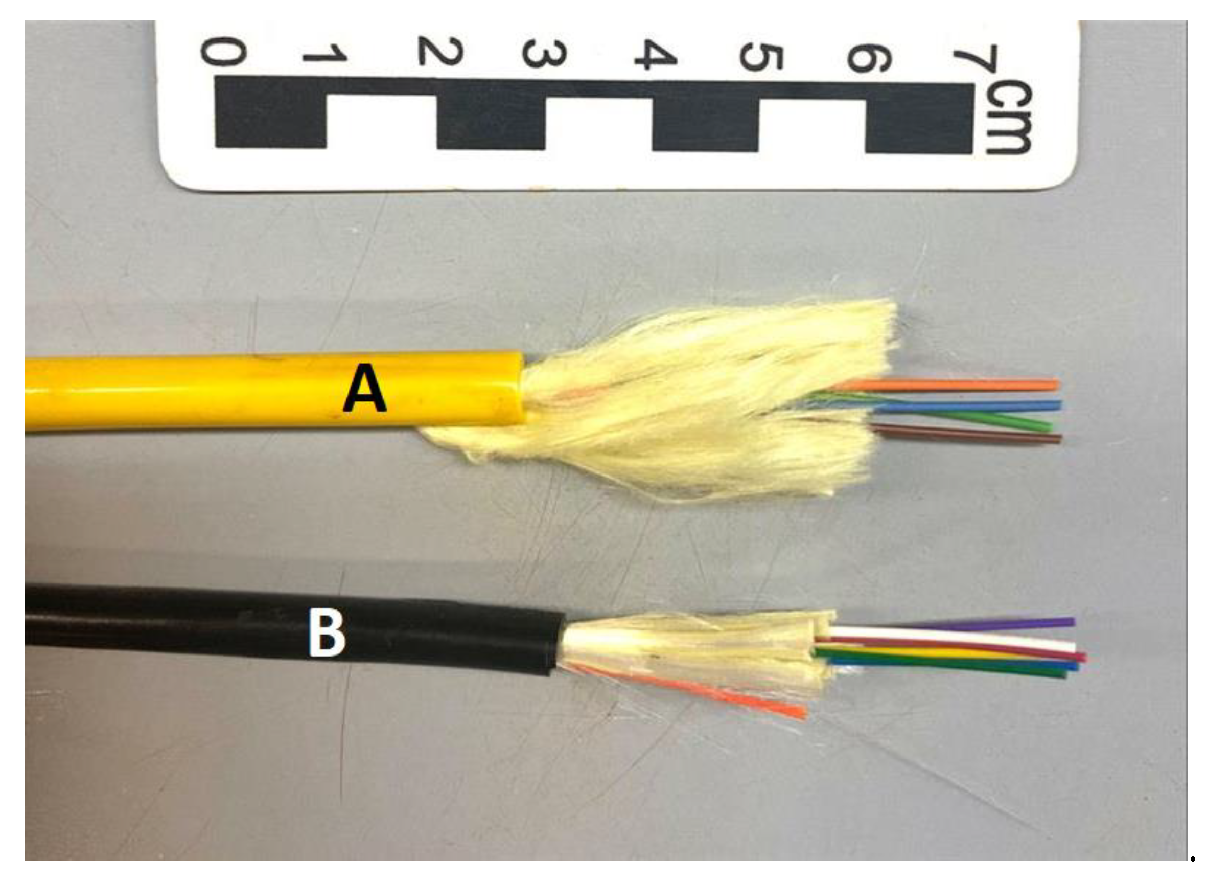 Preprints 72581 g002