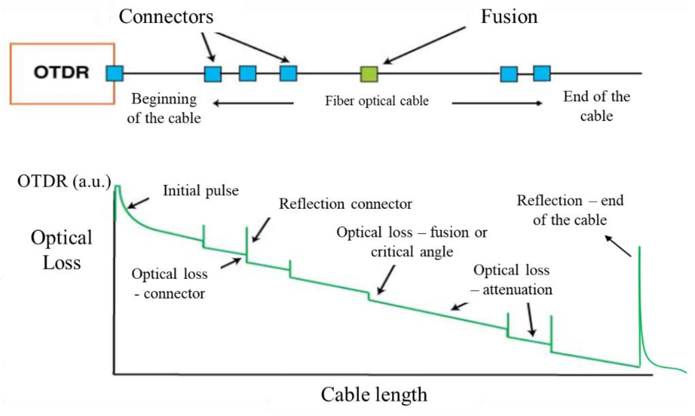 Preprints 72581 g014