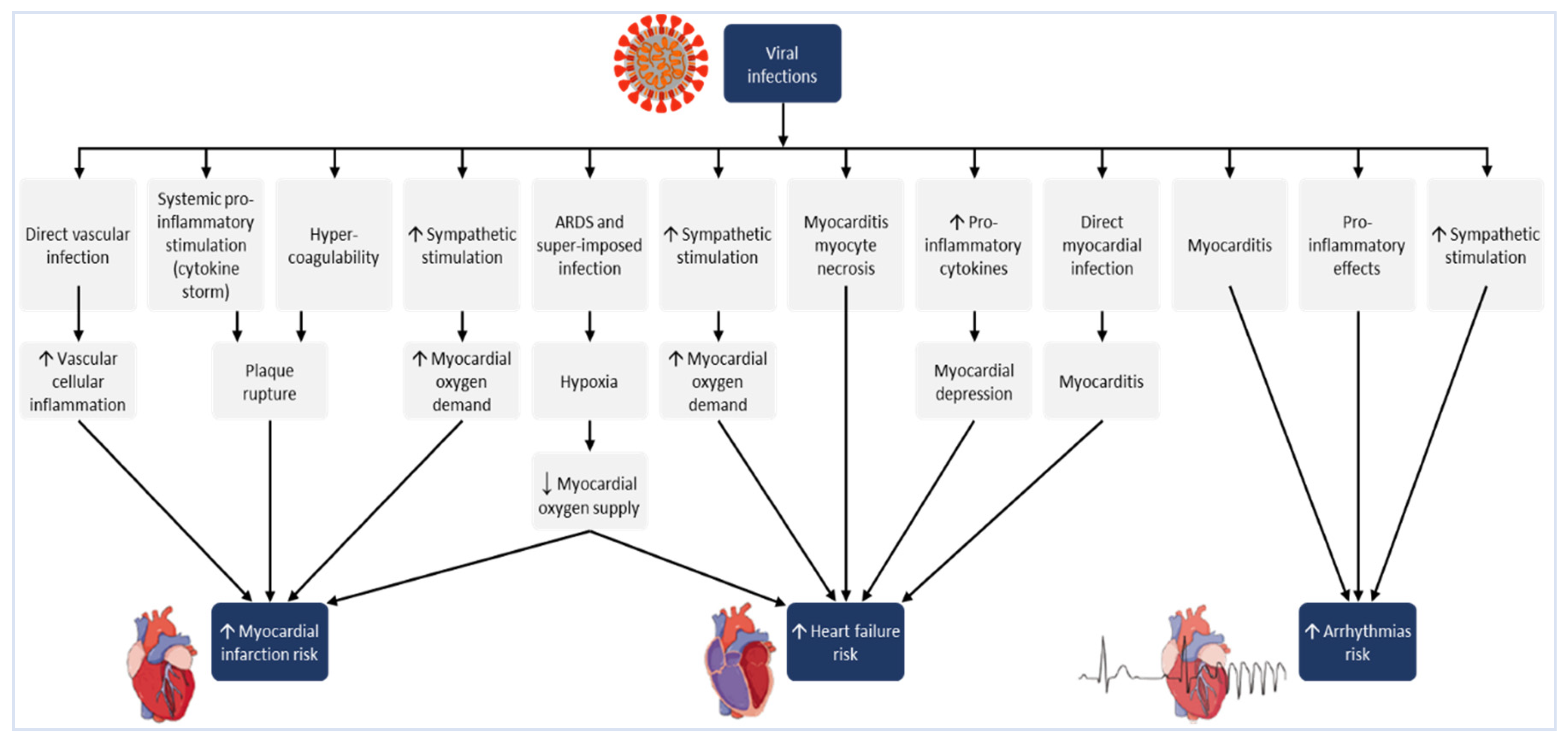 Preprints 140117 g006