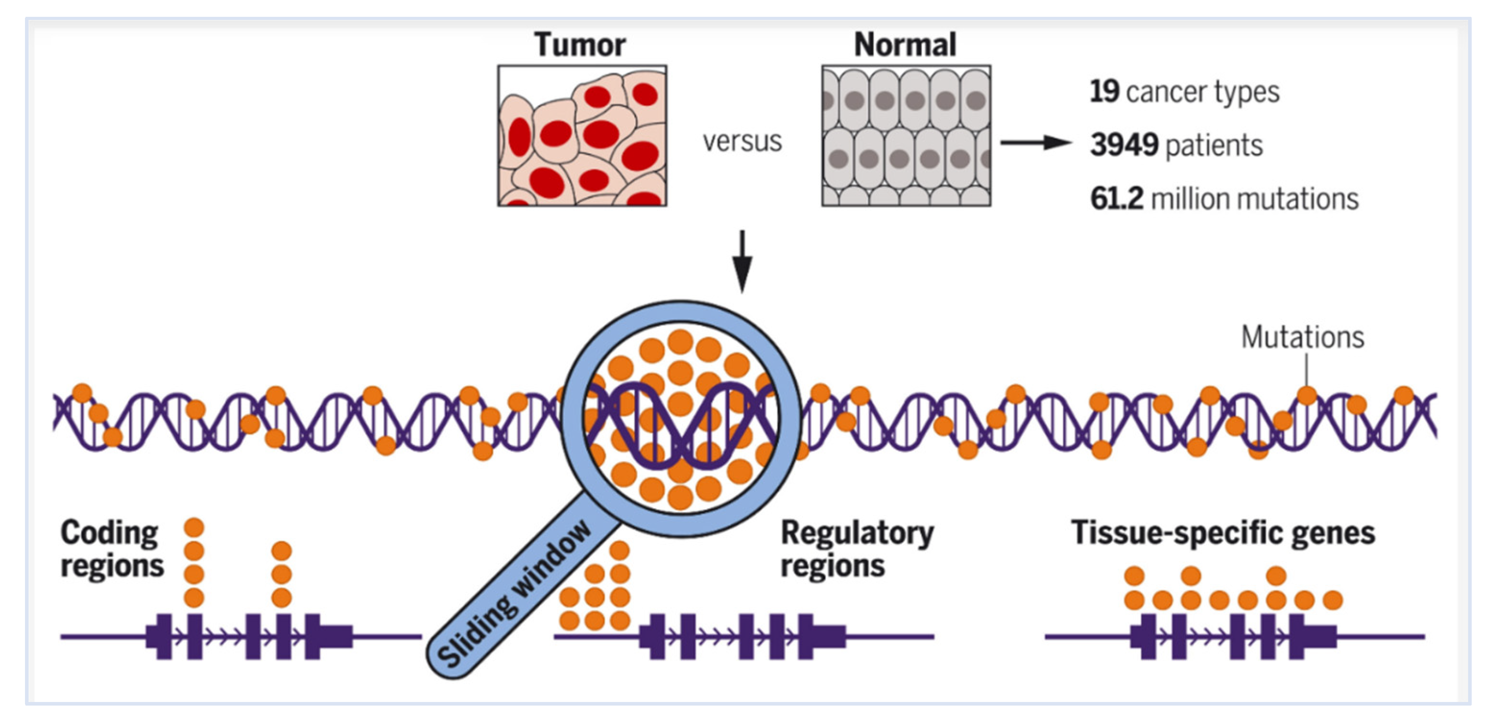 Preprints 140117 g009