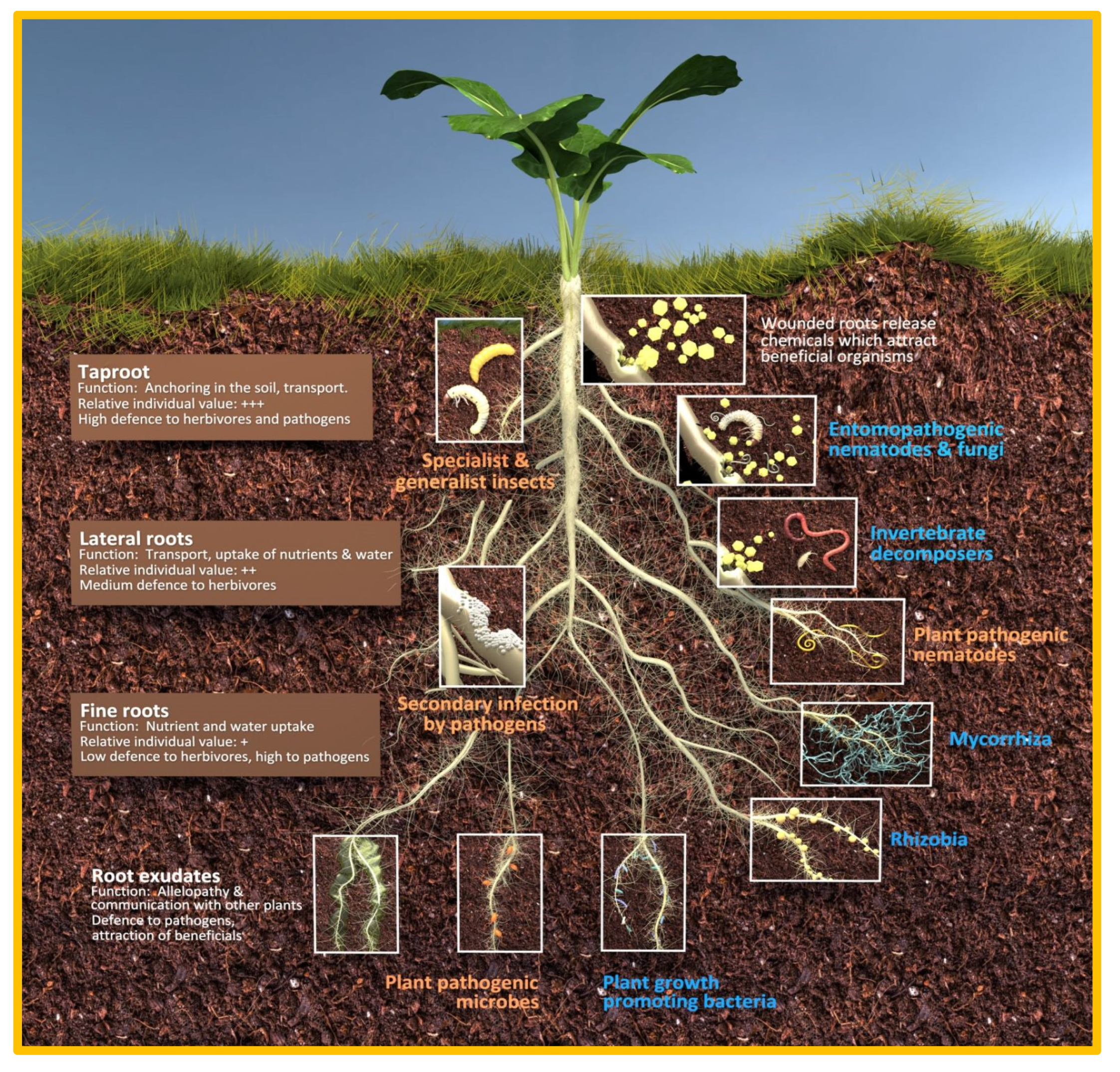 Preprints 140117 g010