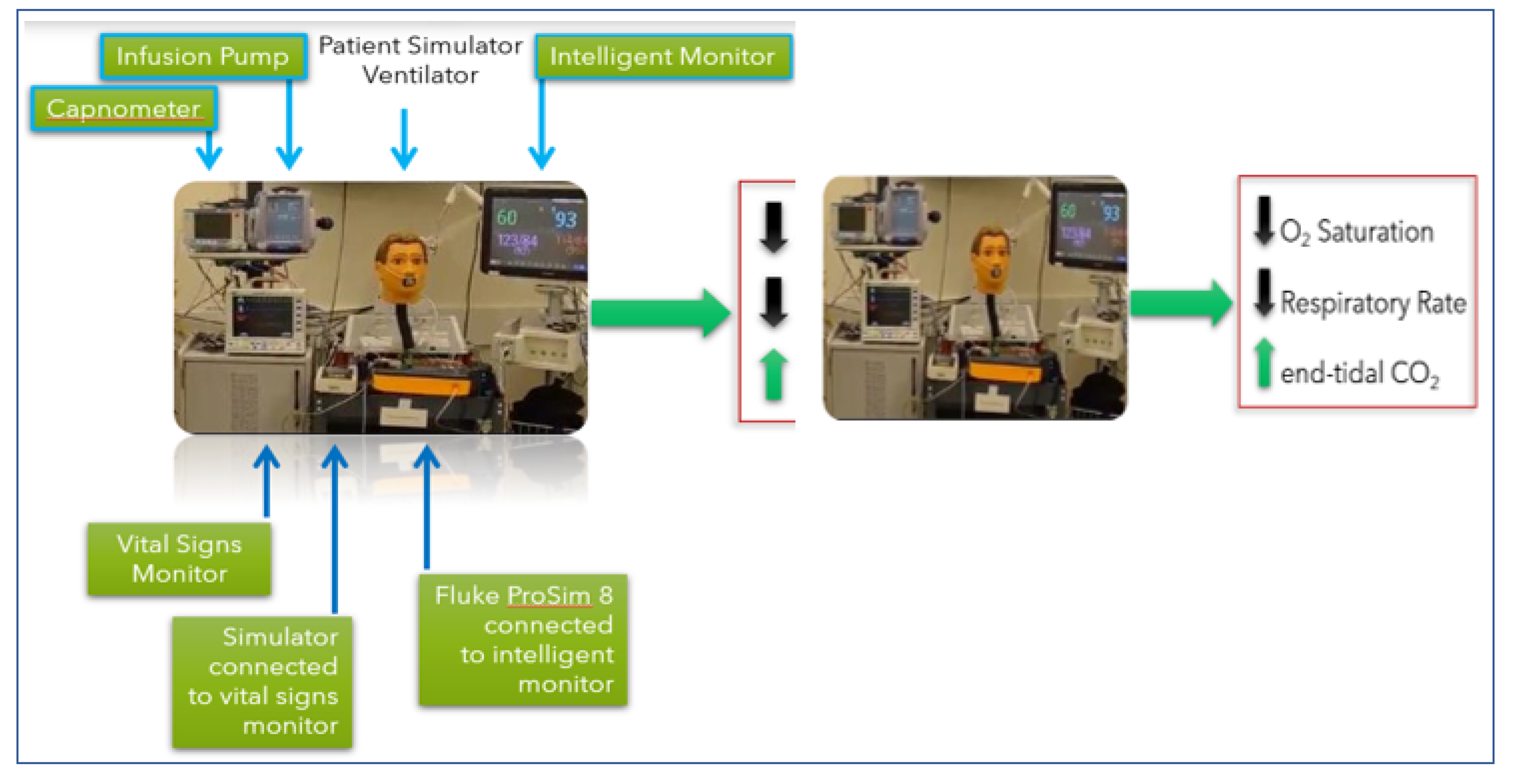 Preprints 140117 g015
