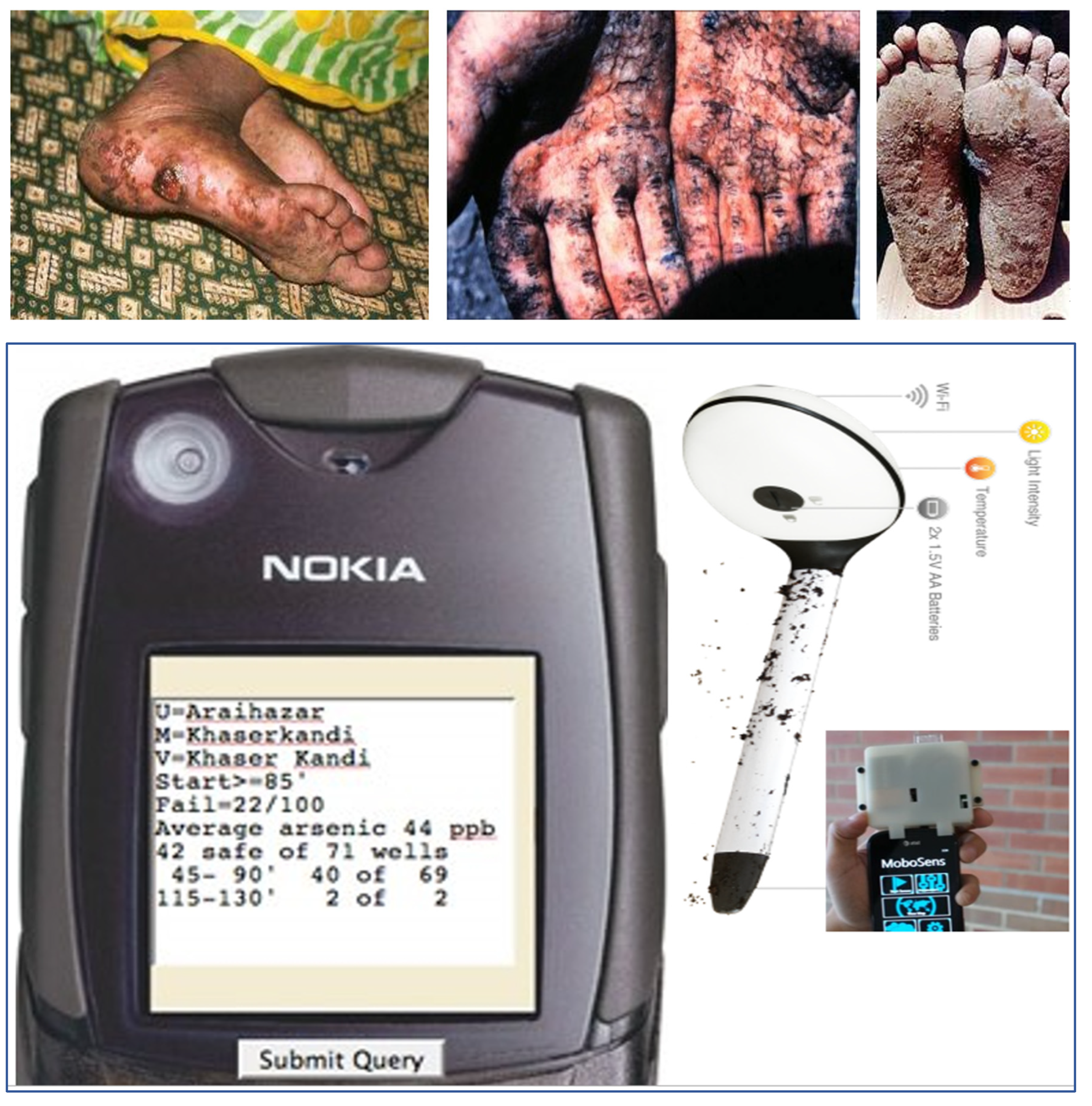 Preprints 140117 g024