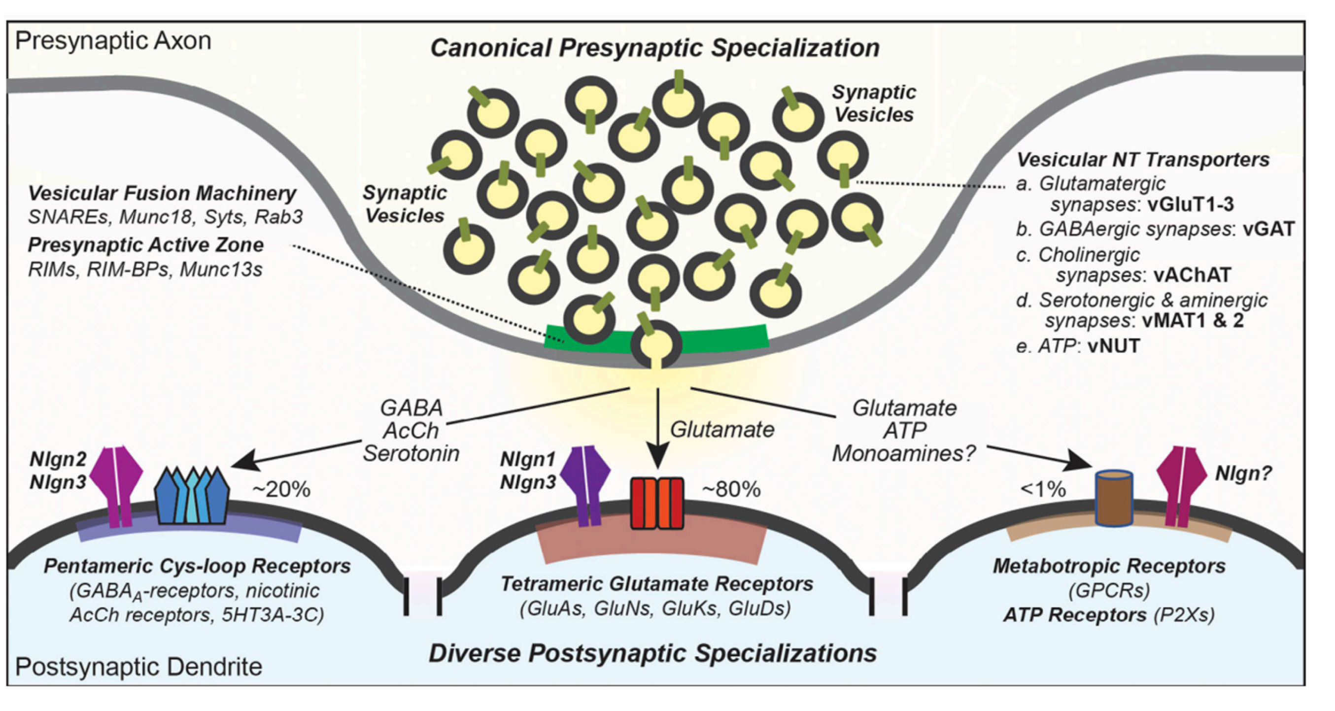 Preprints 140117 g037