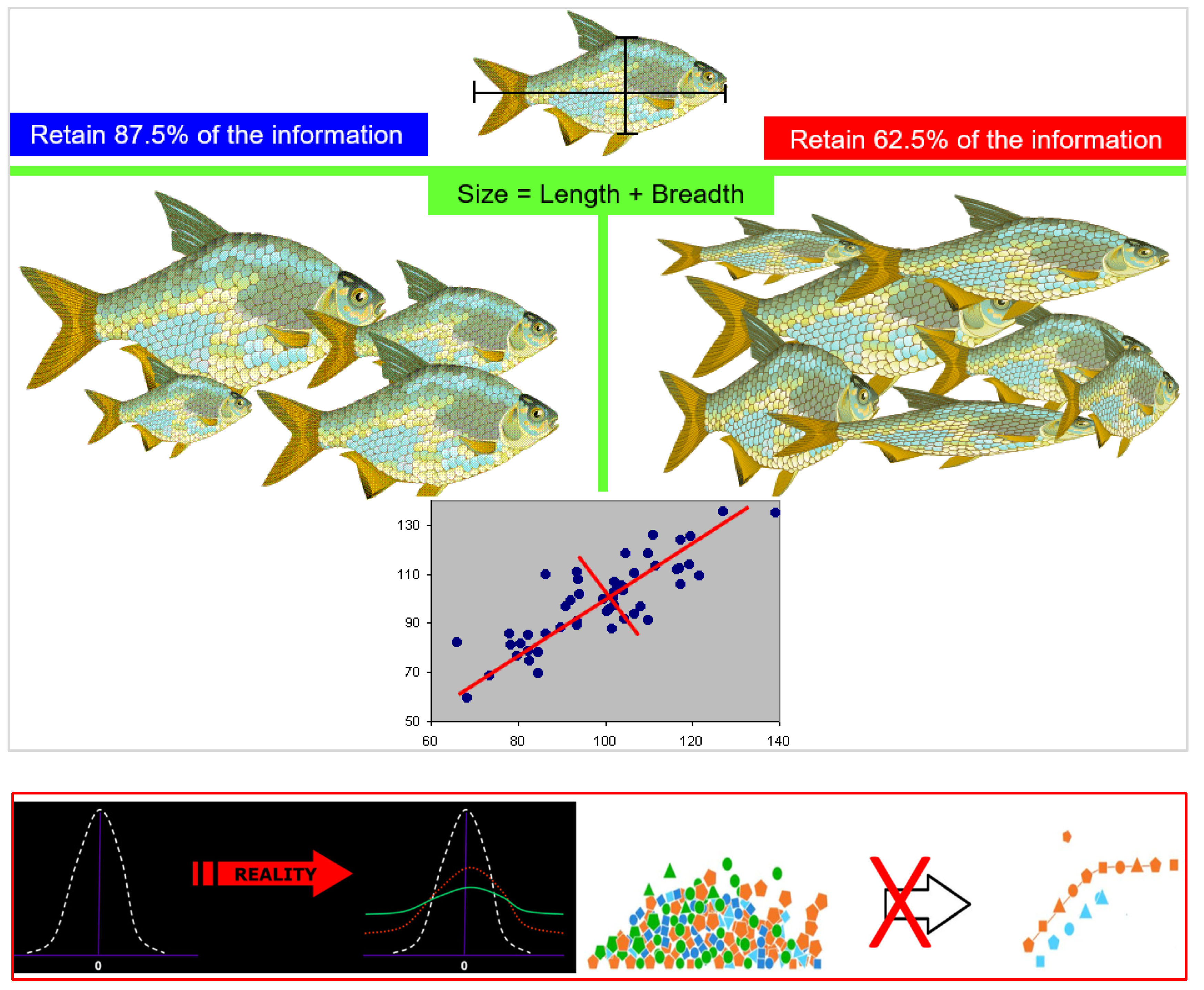 Preprints 140117 i001b