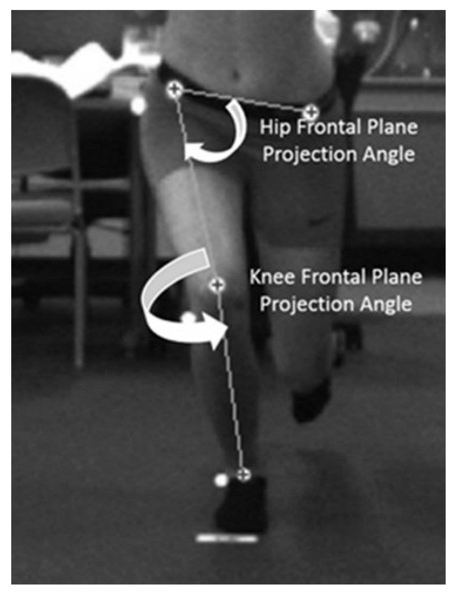 Preprints 149953 g002