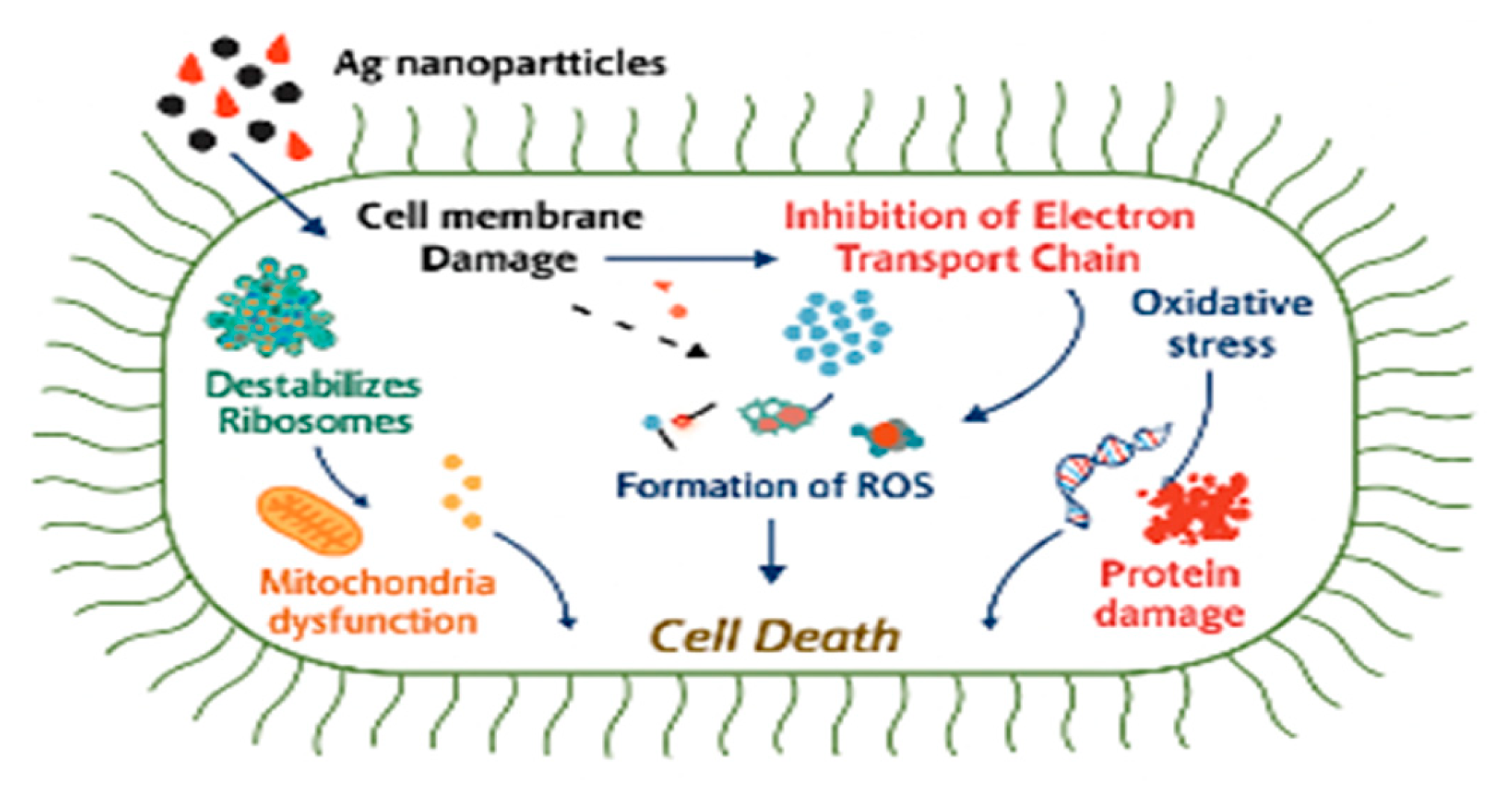 Preprints 159224 g003