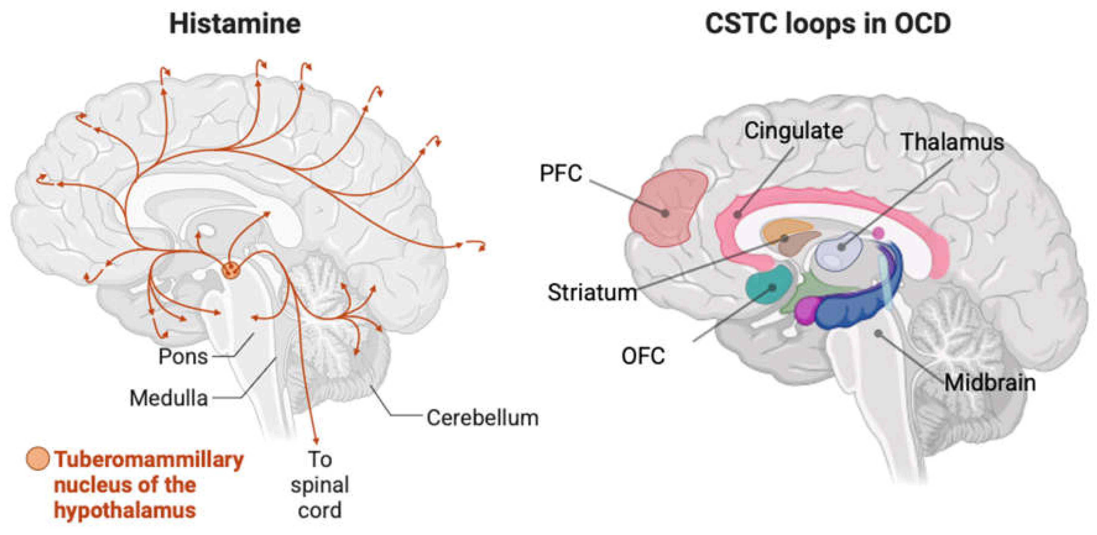 Preprints 197084 g001