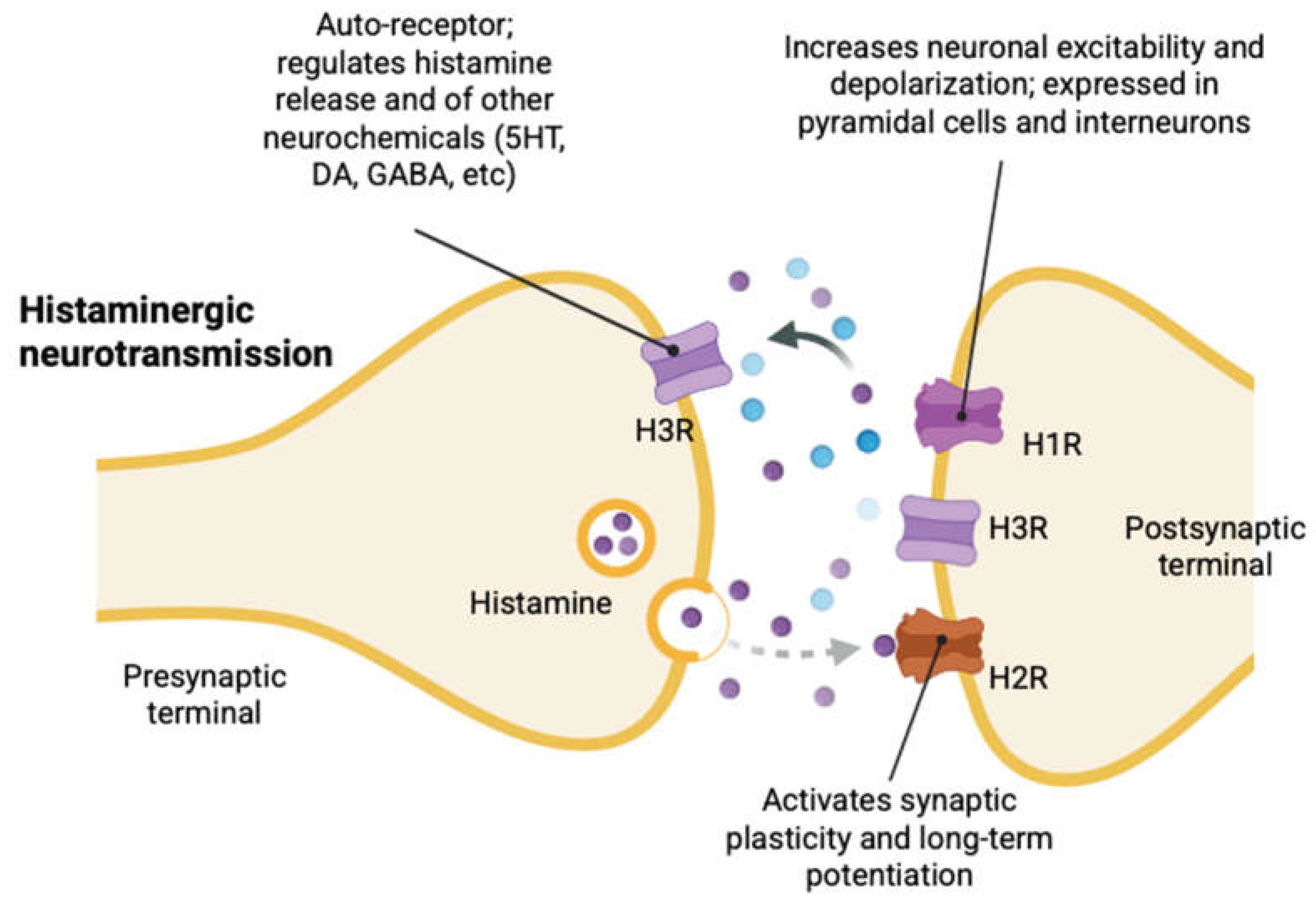 Preprints 197084 g002