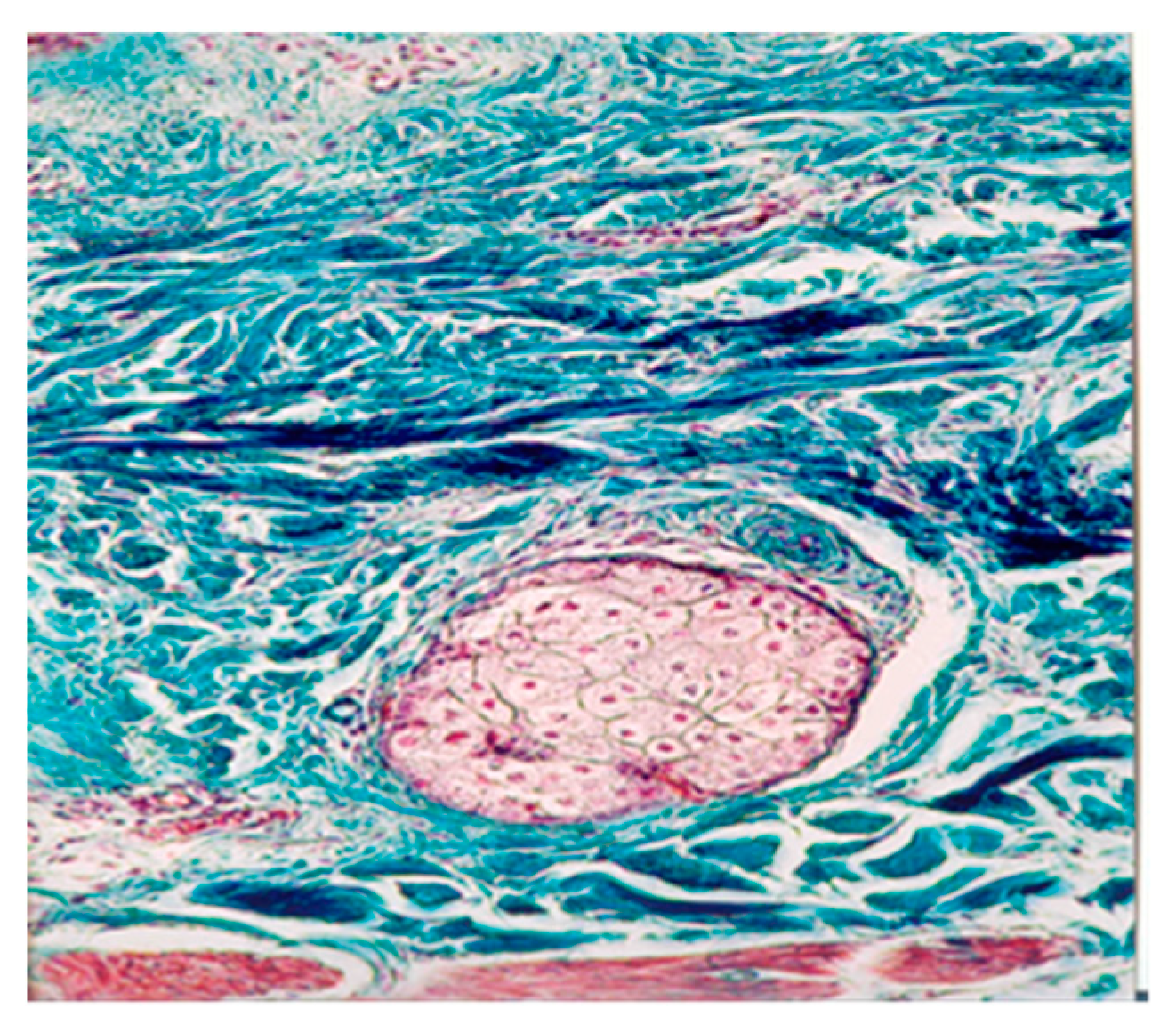 Preprints 112589 g002