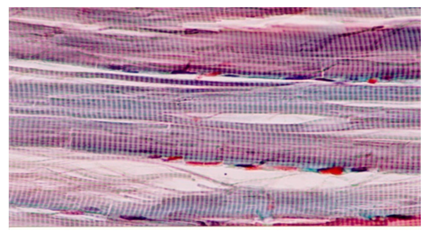 Preprints 112589 g003