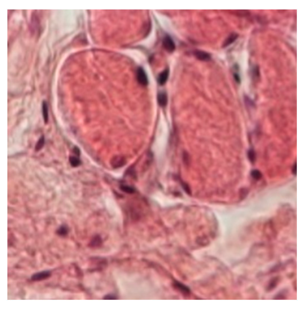 Preprints 112589 g004