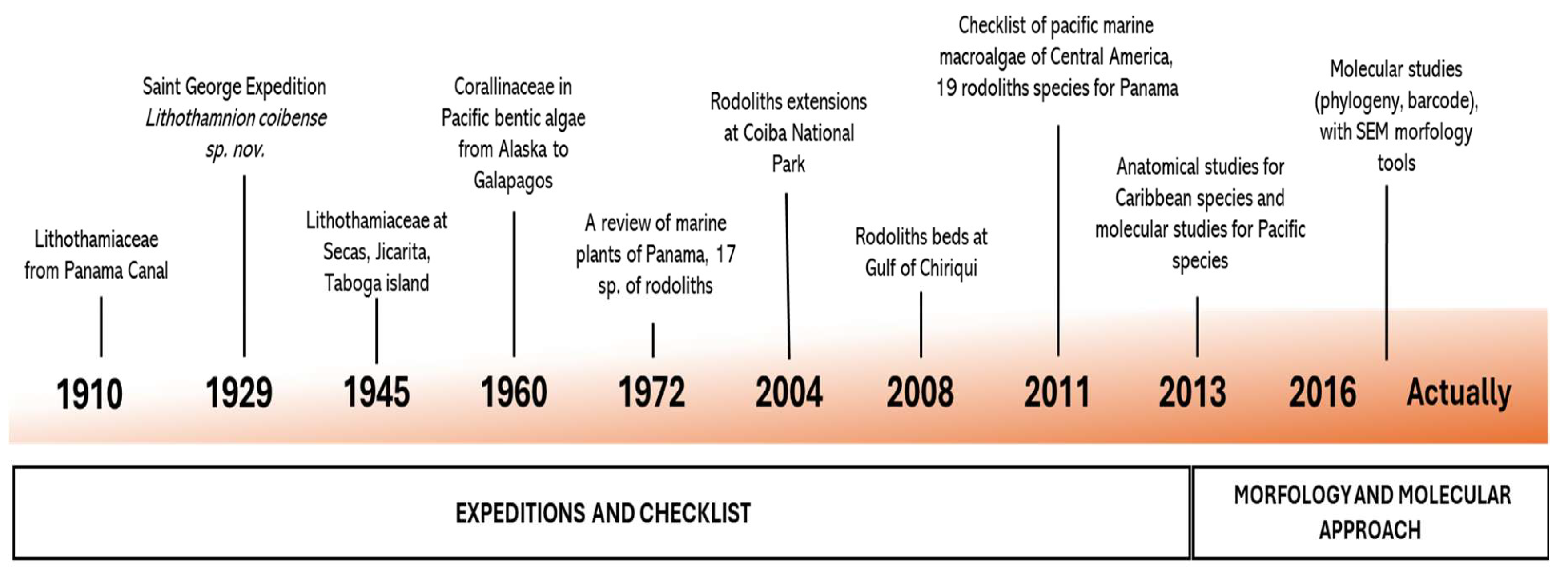 Preprints 172860 g001