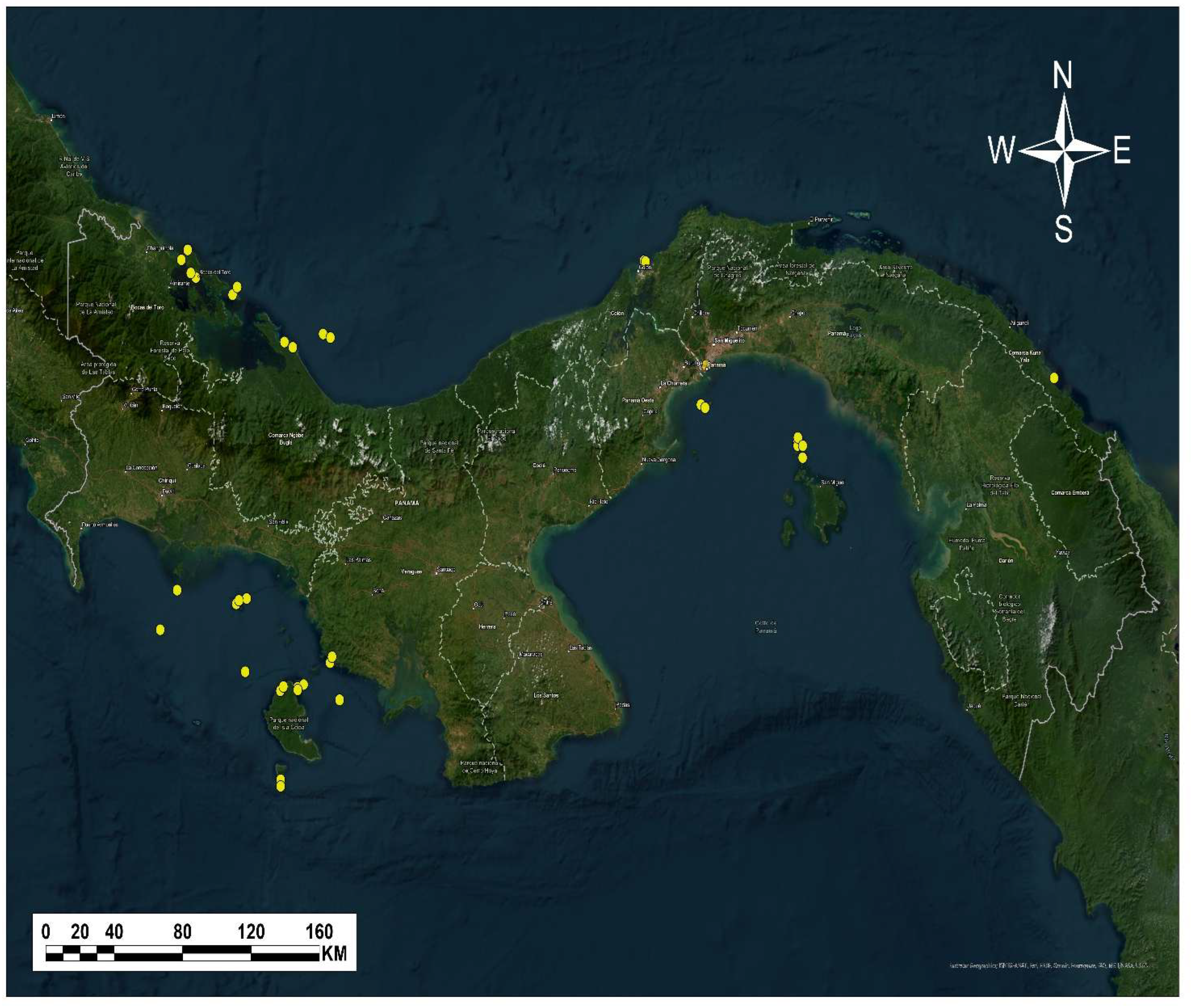 Preprints 172860 g003