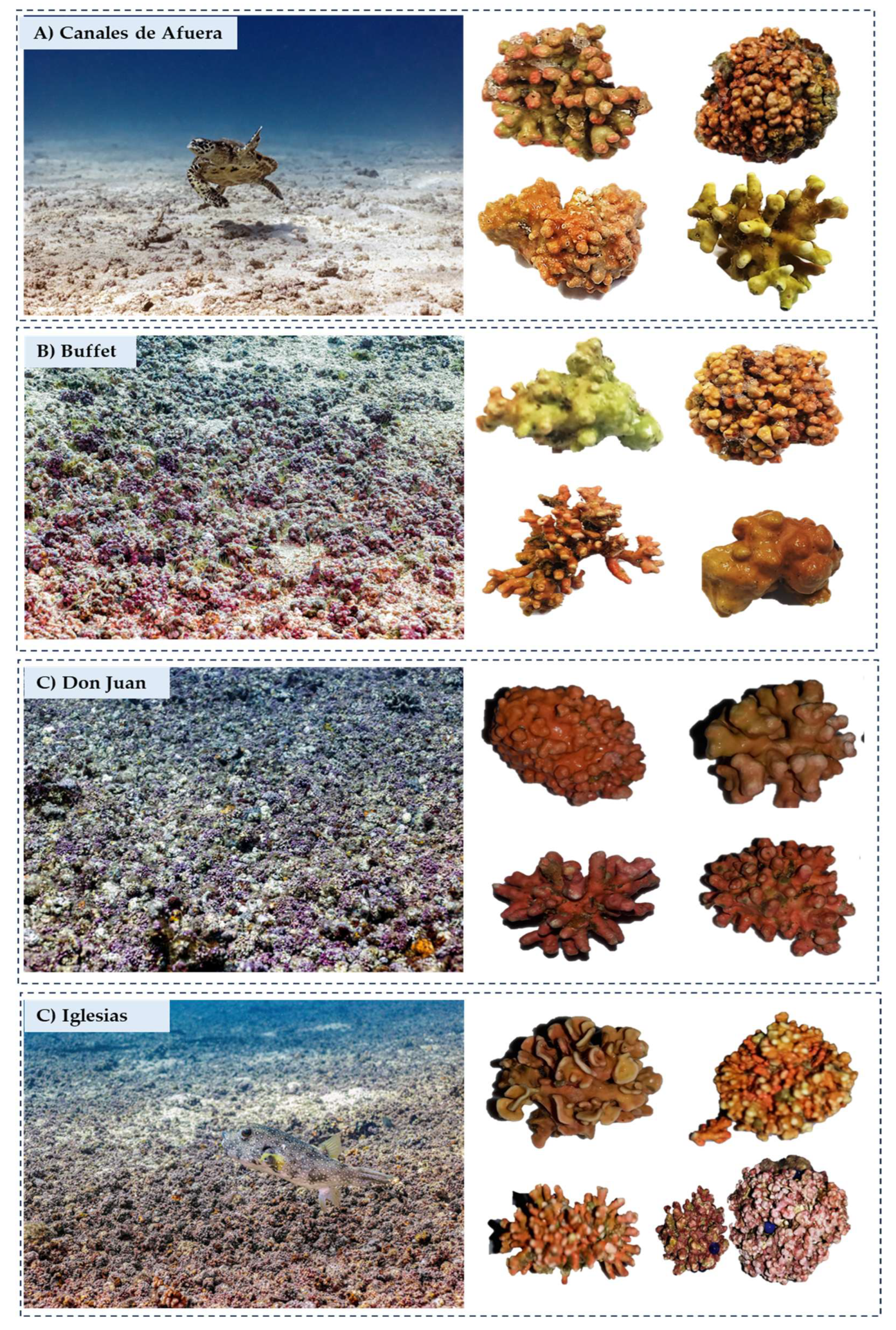 Preprints 172860 g006