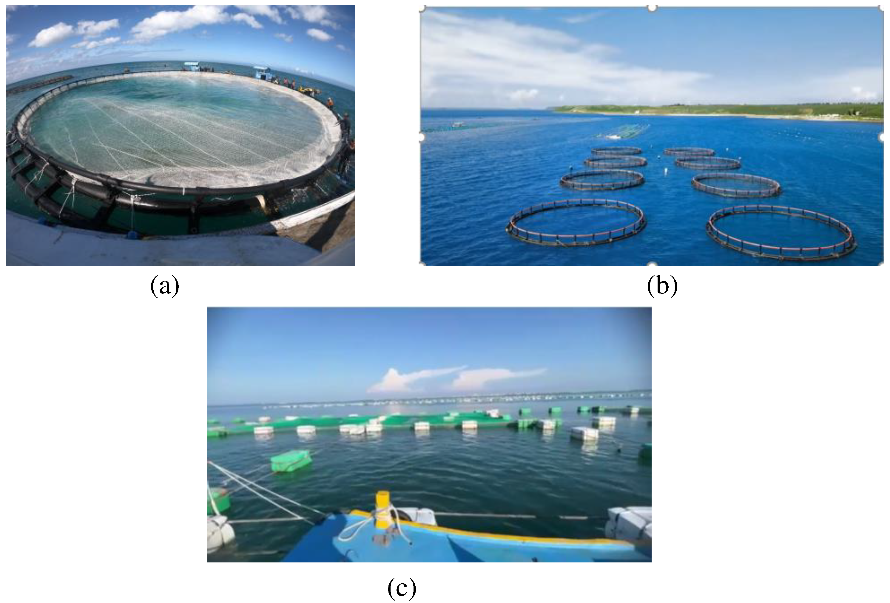 Preprints 96083 g003