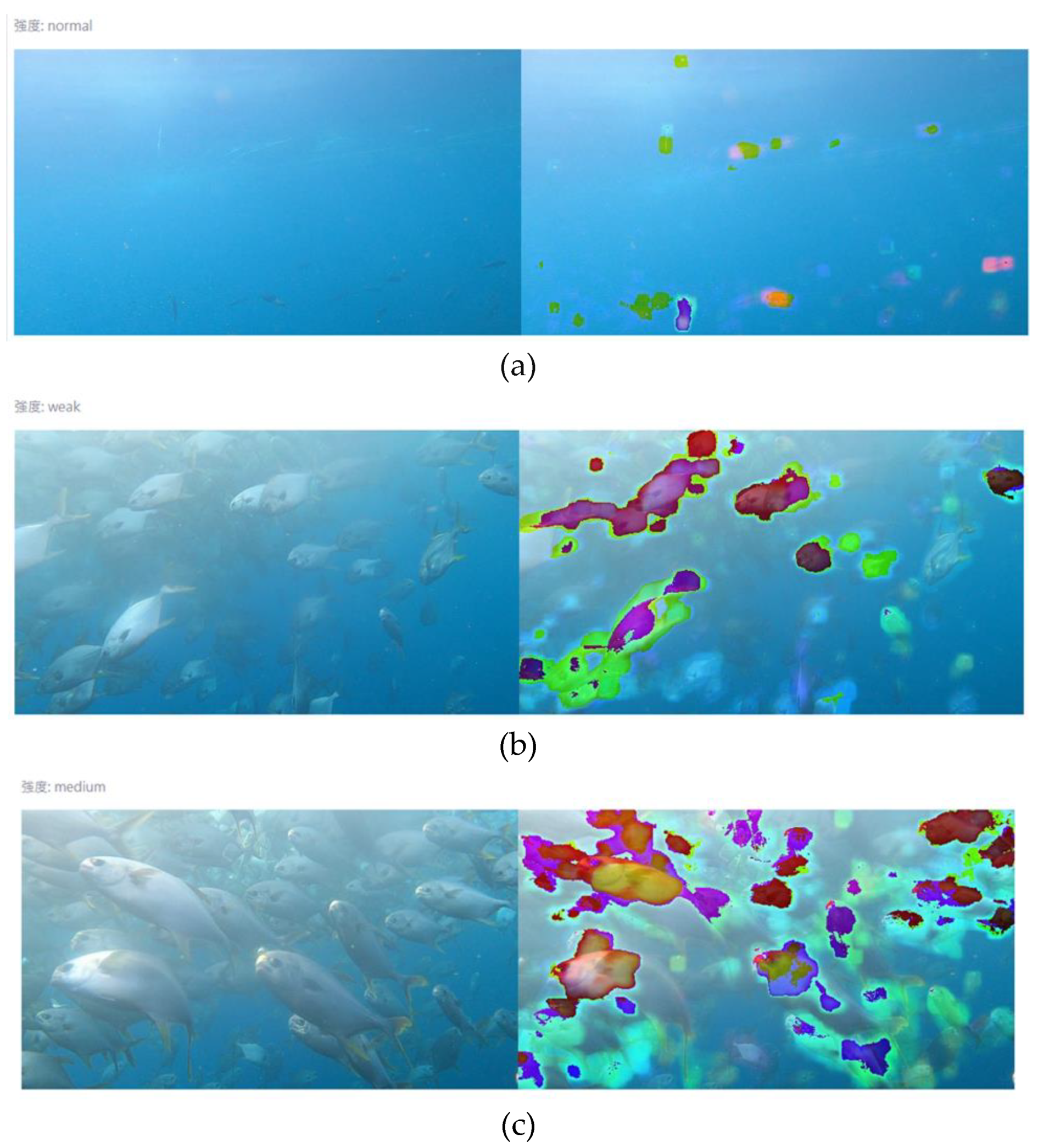 Preprints 96083 g014a