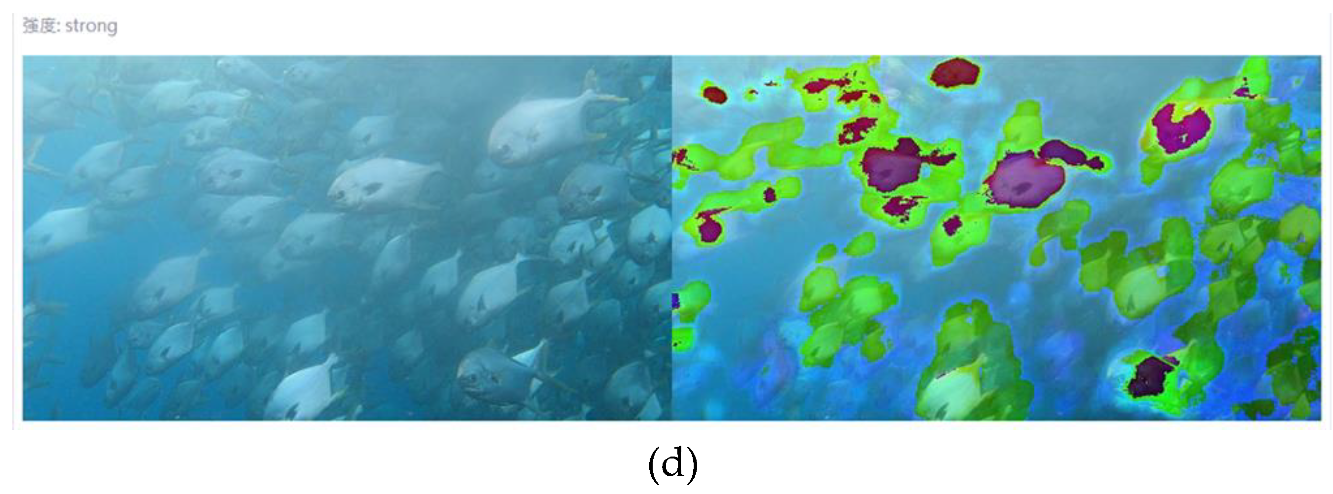 Preprints 96083 g014b