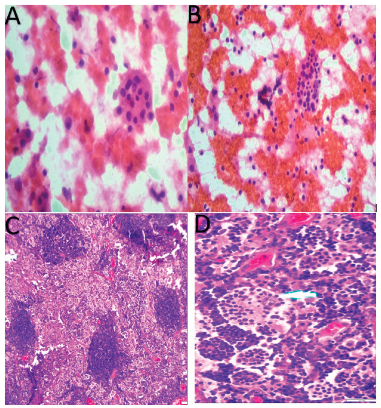 Preprints 171220 g003