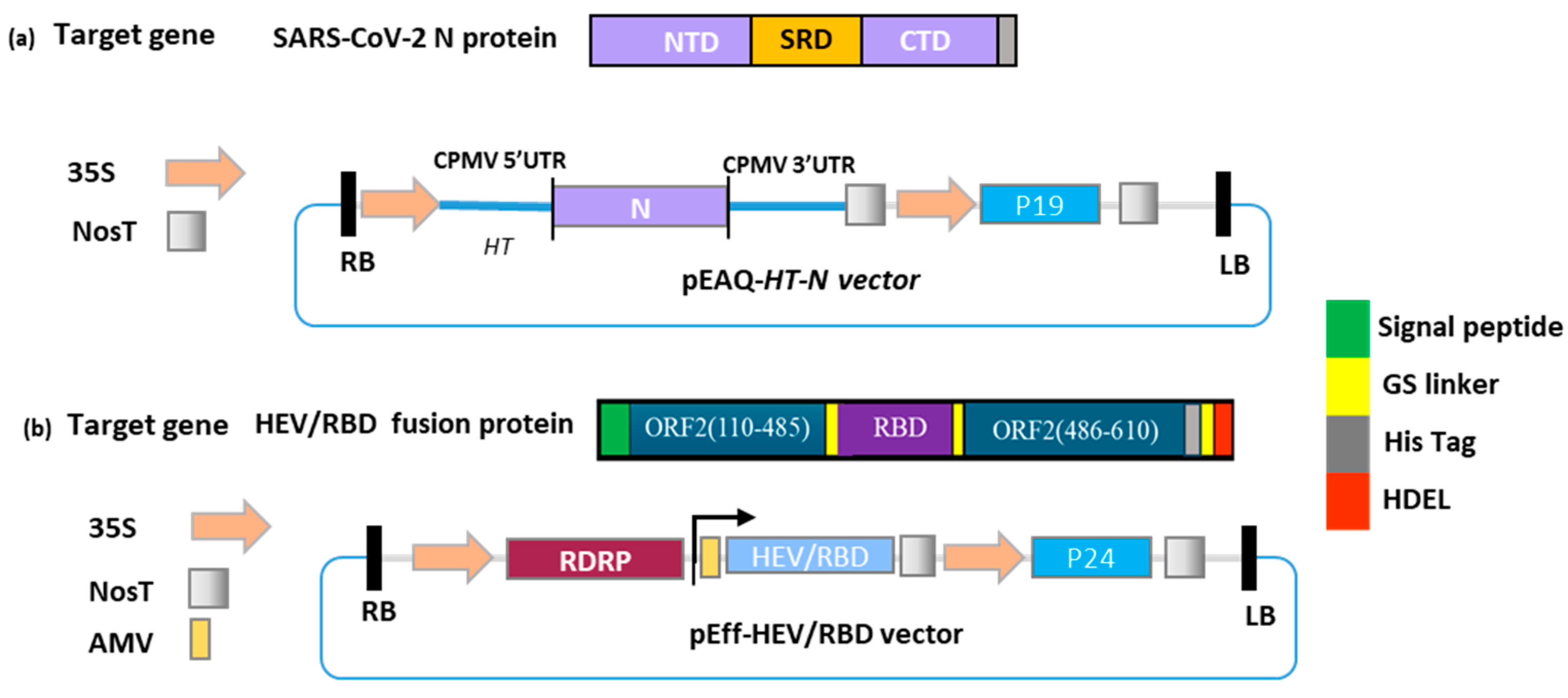 Preprints 139901 g001