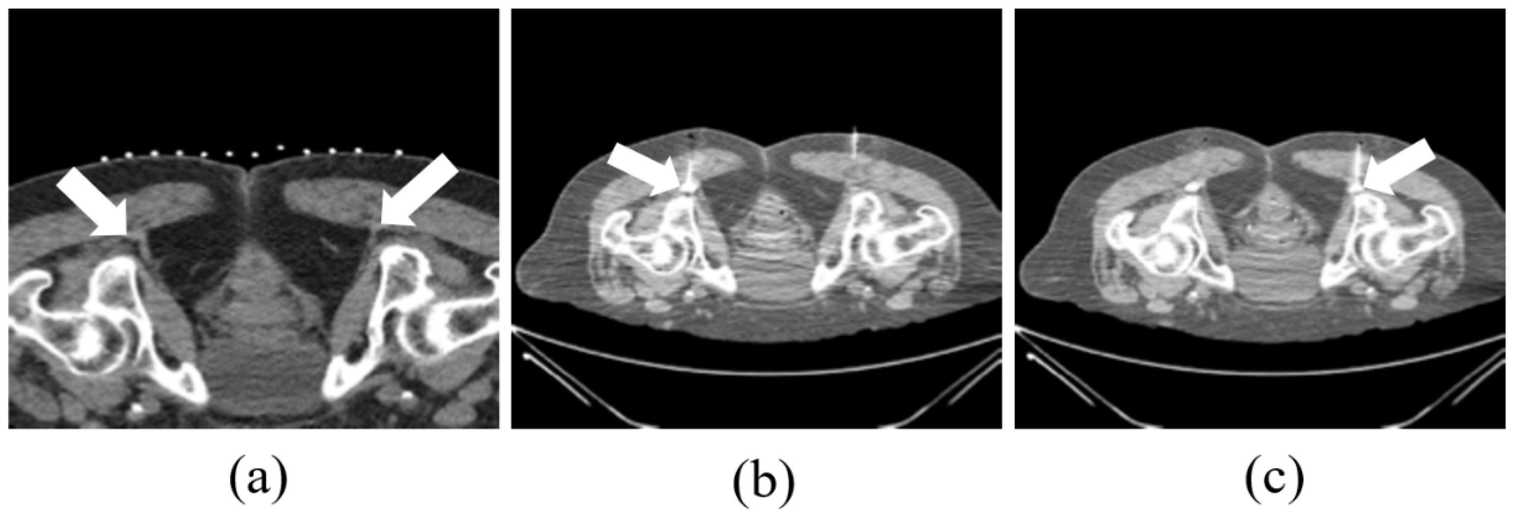 Preprints 175349 g002