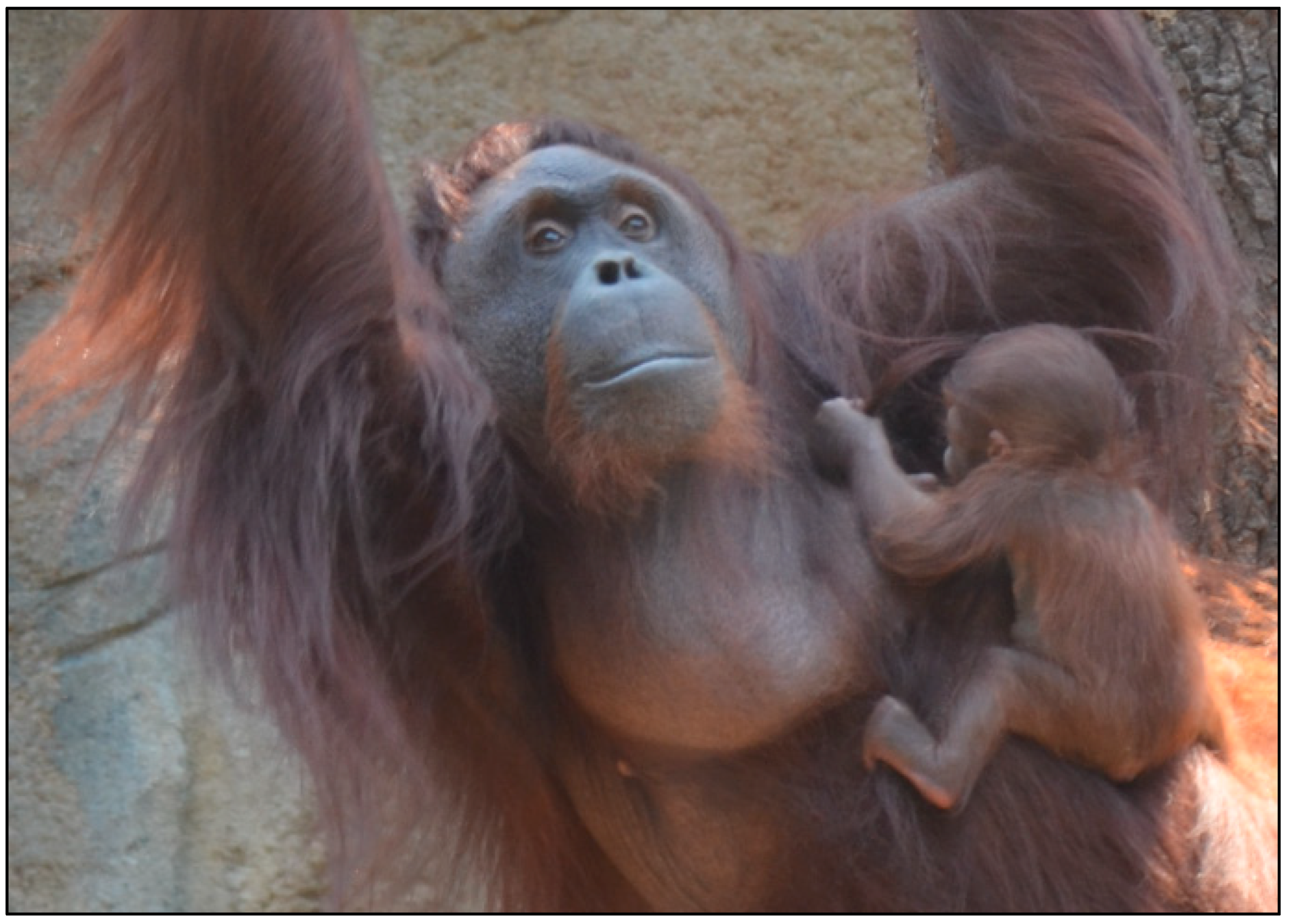 Preprints 159568 g001