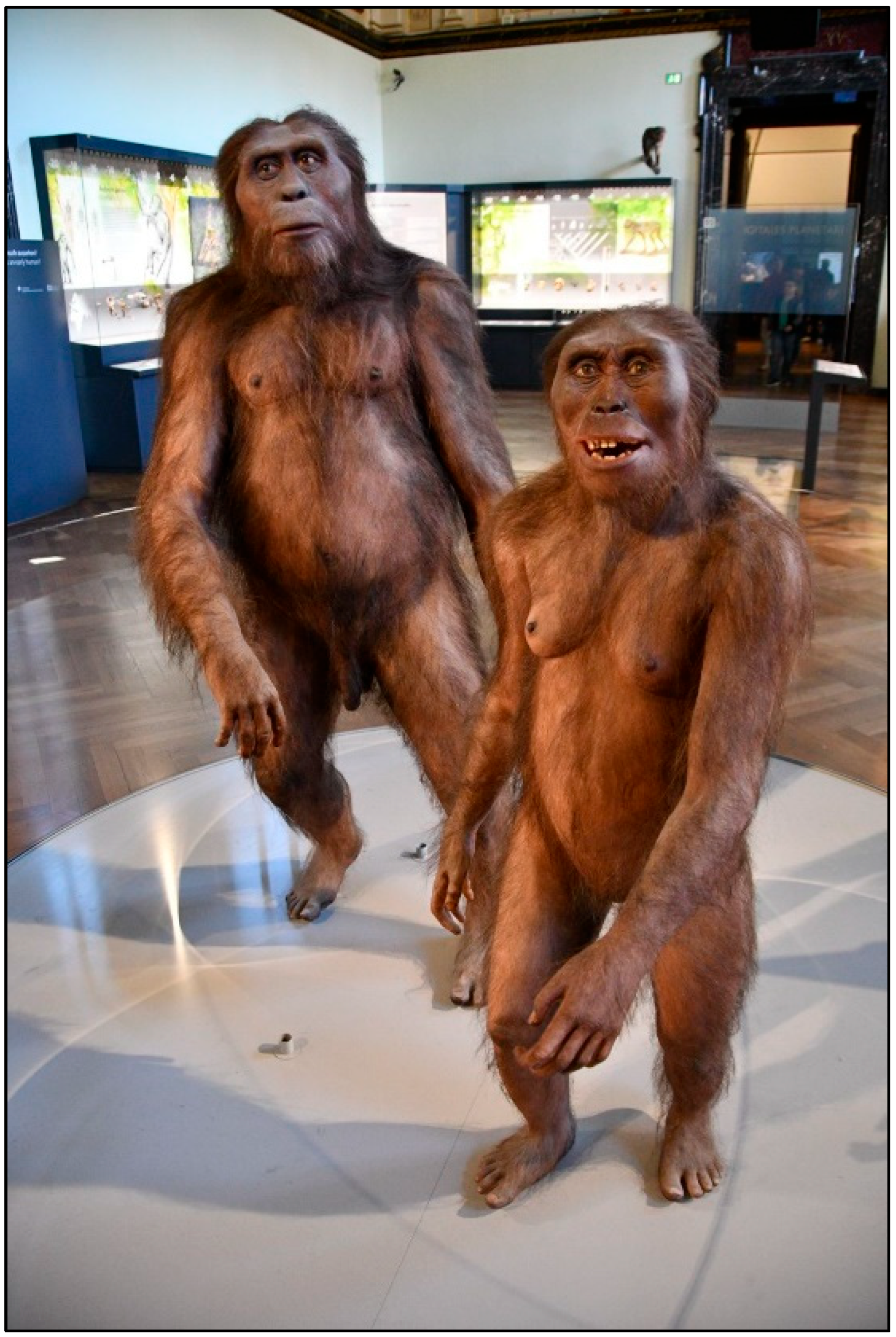 Preprints 159568 g003