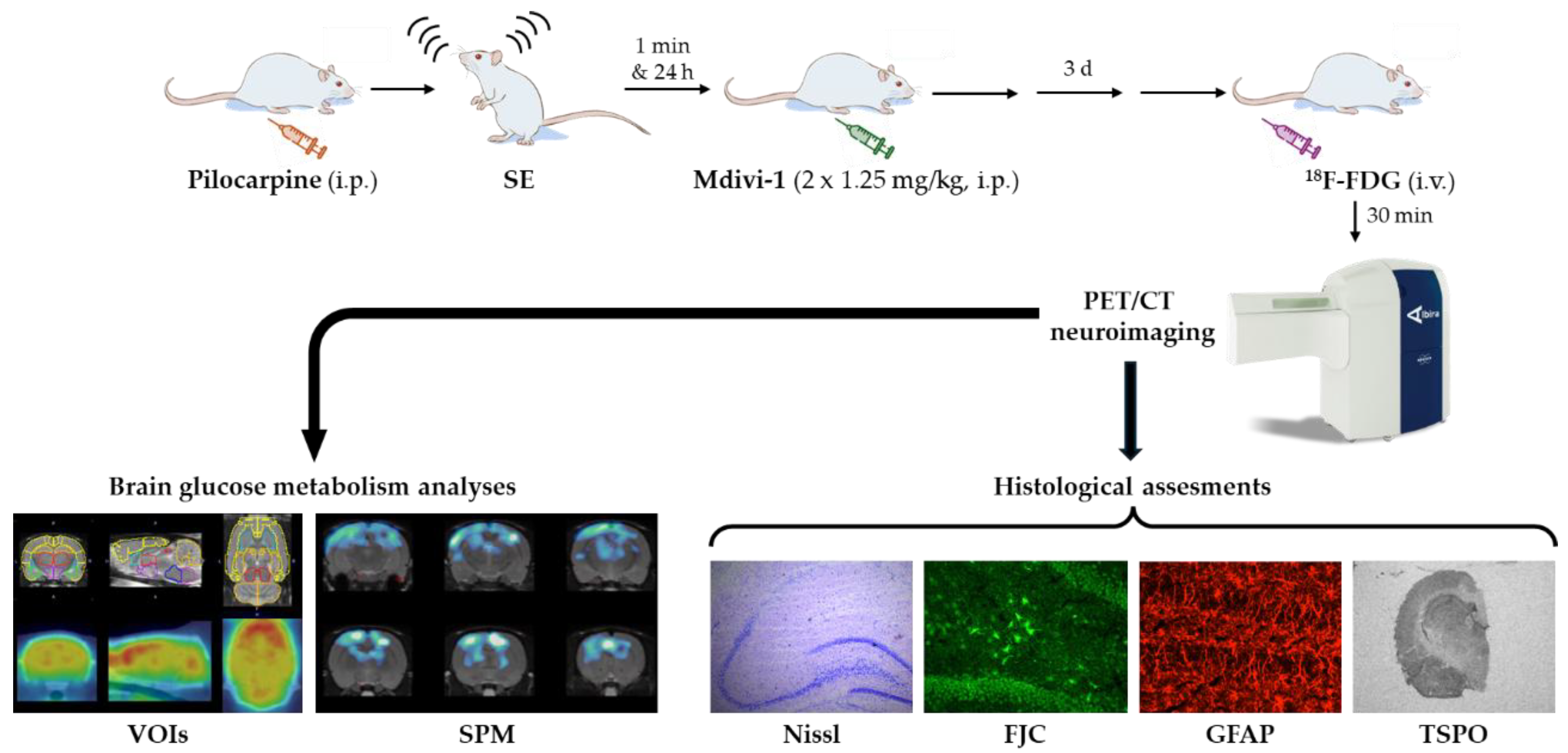 Preprints 169398 g001