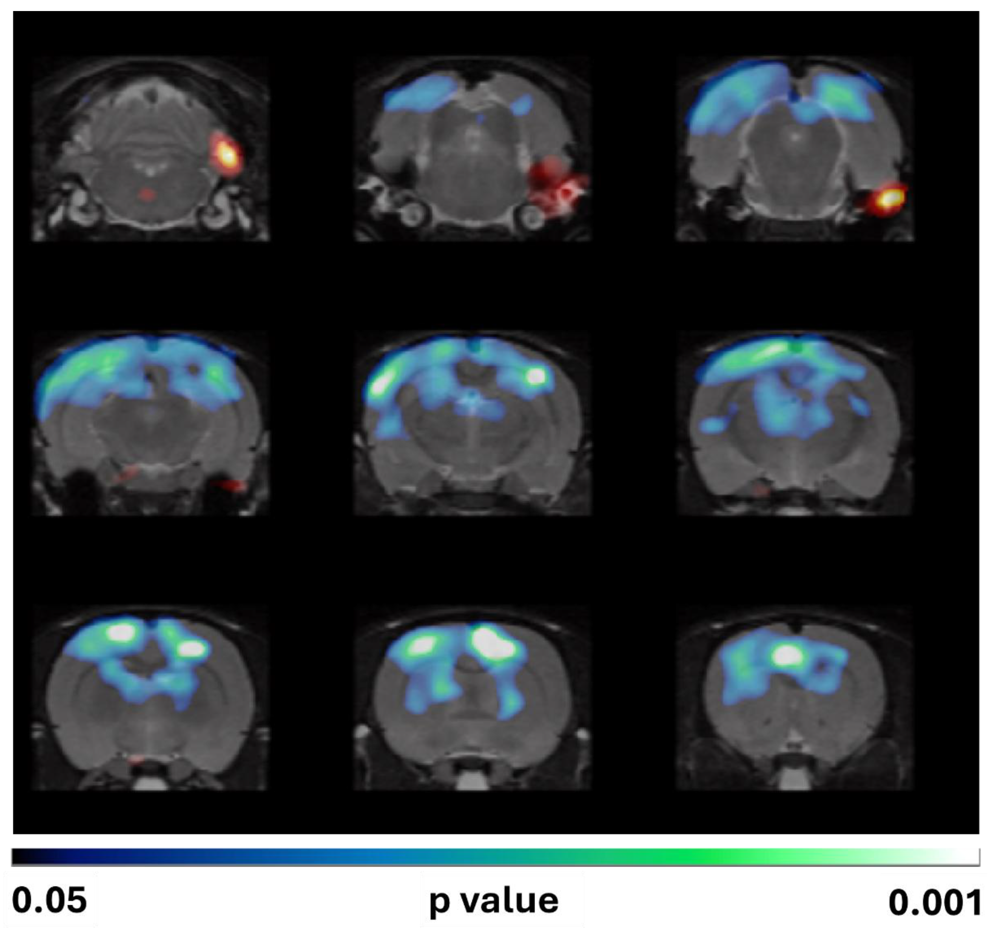 Preprints 169398 g004