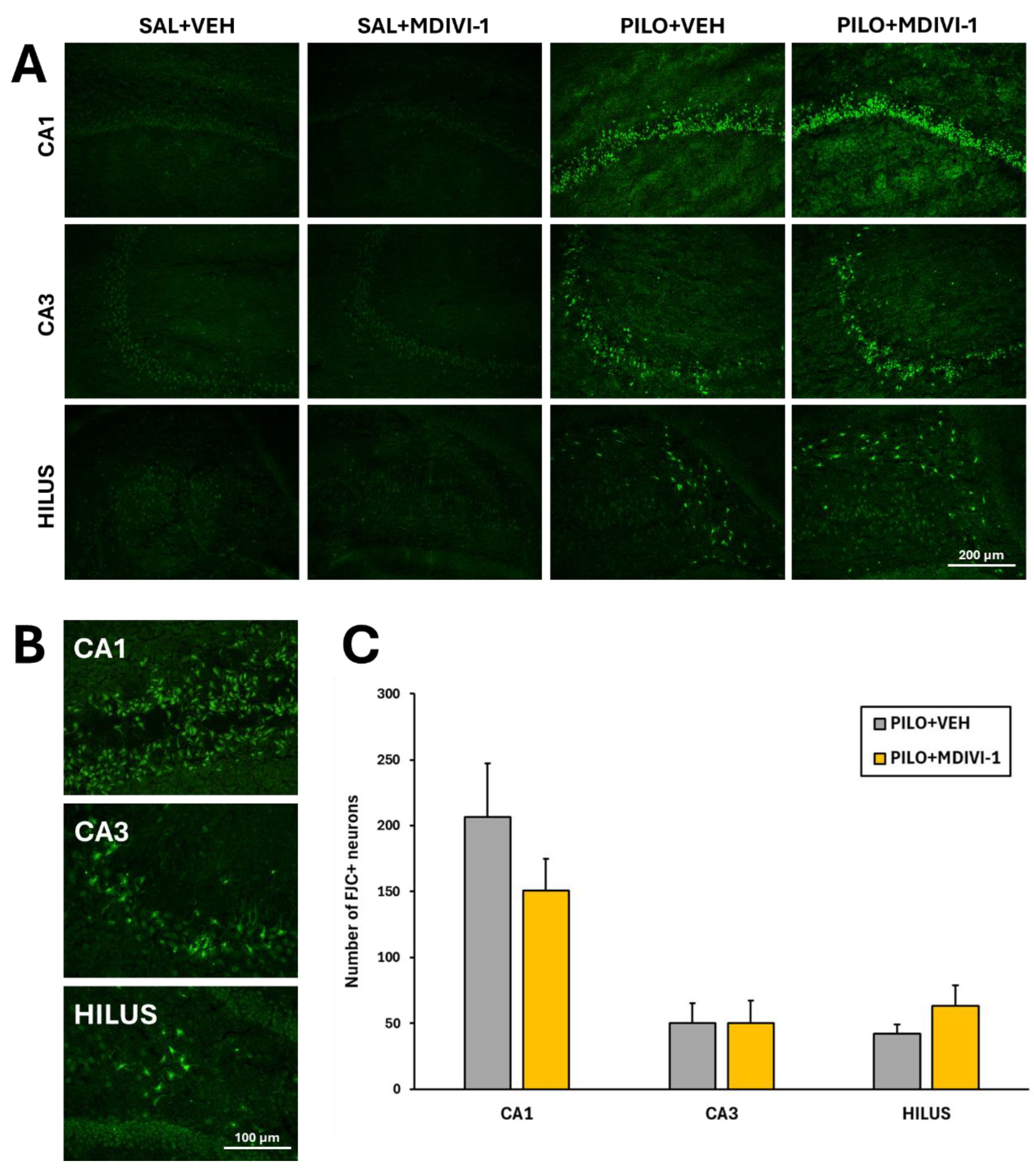 Preprints 169398 g006