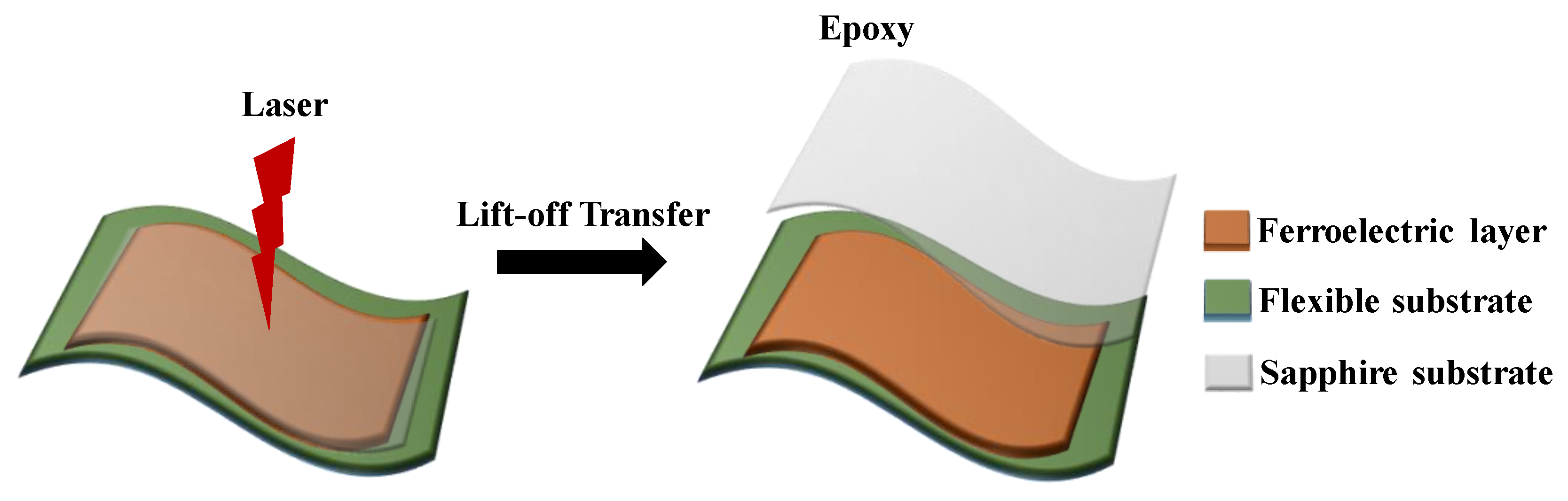 Preprints 144545 g001