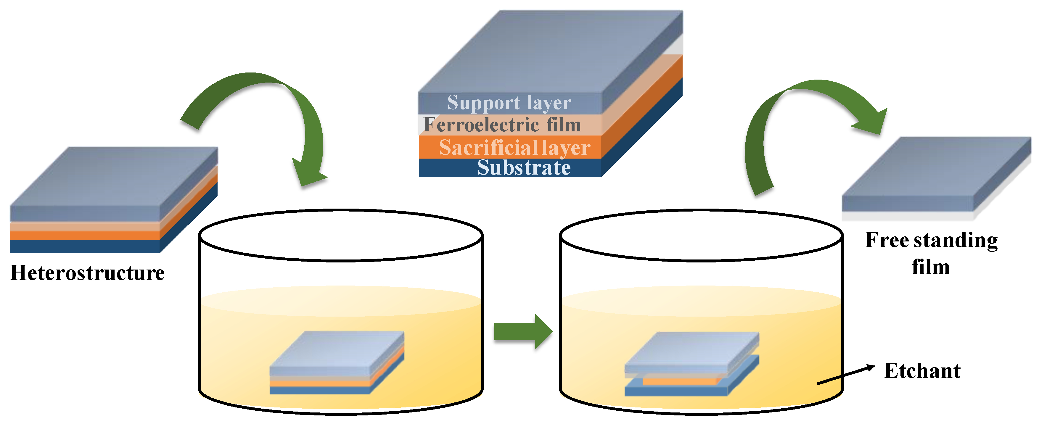 Preprints 144545 g002