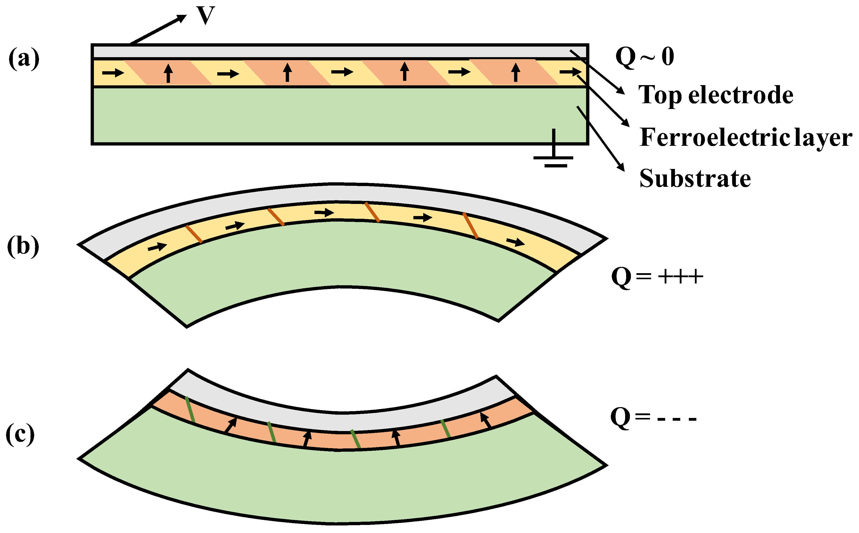 Preprints 144545 g006
