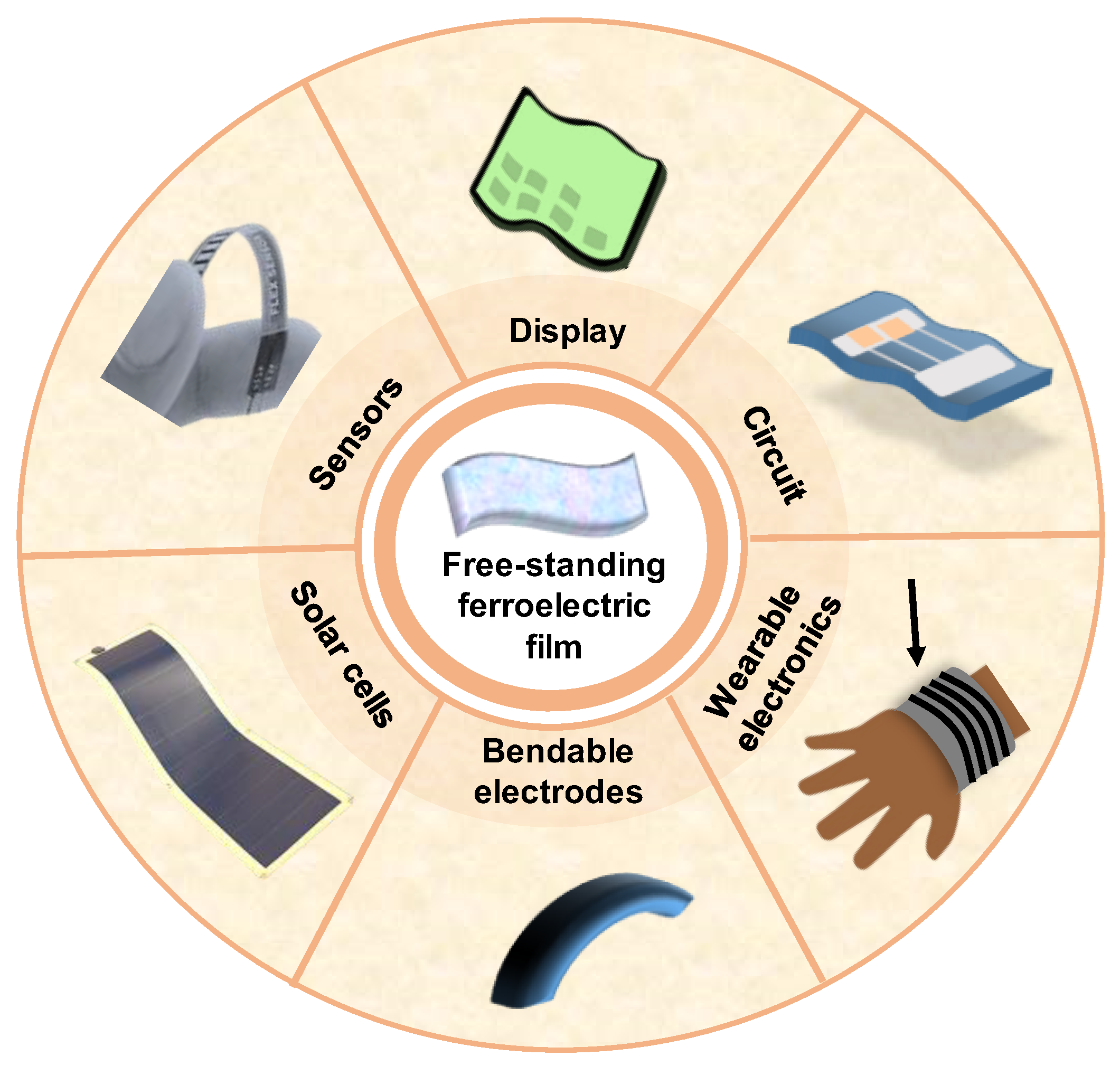 Preprints 144545 g007