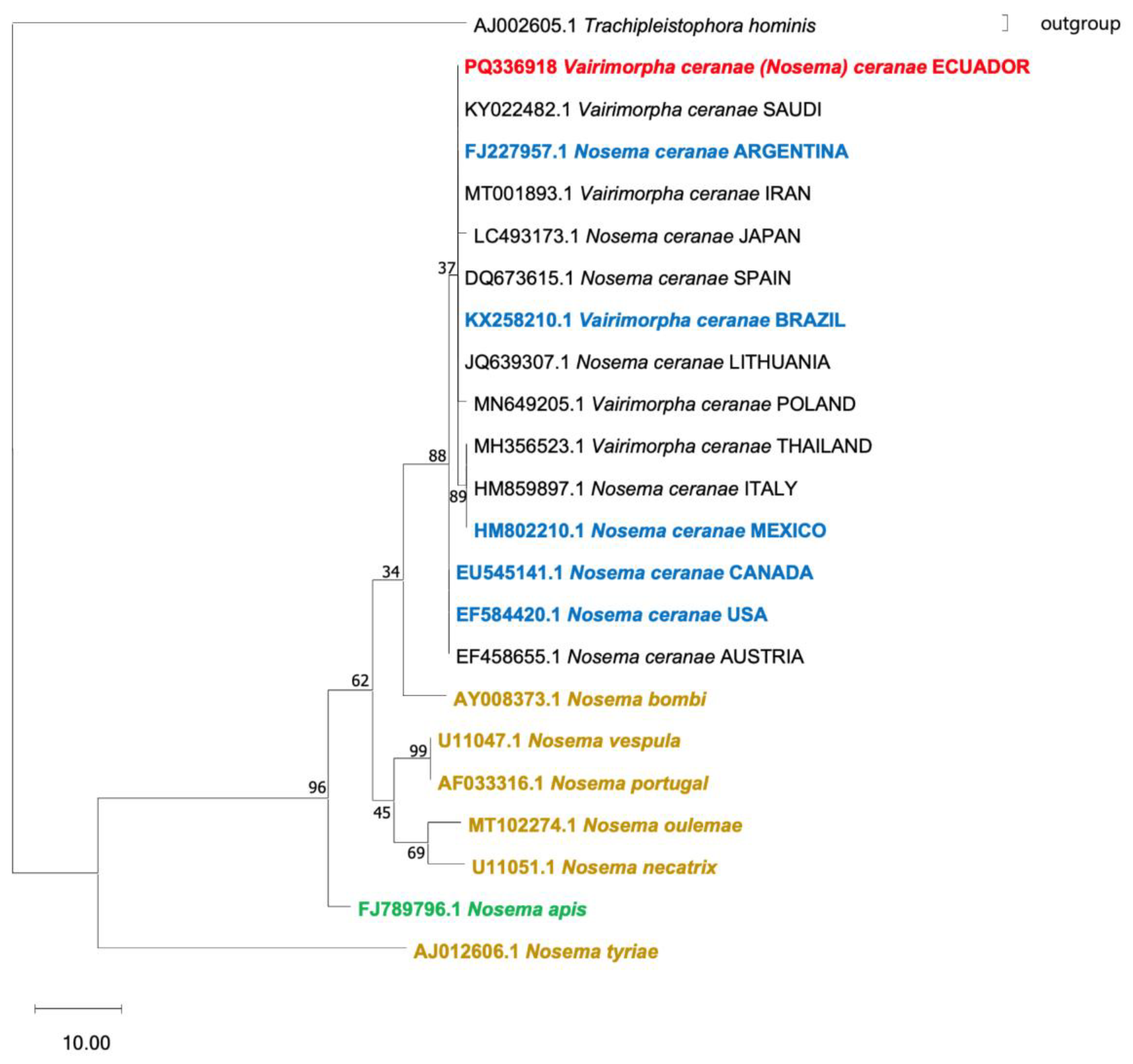 Preprints 187676 g002