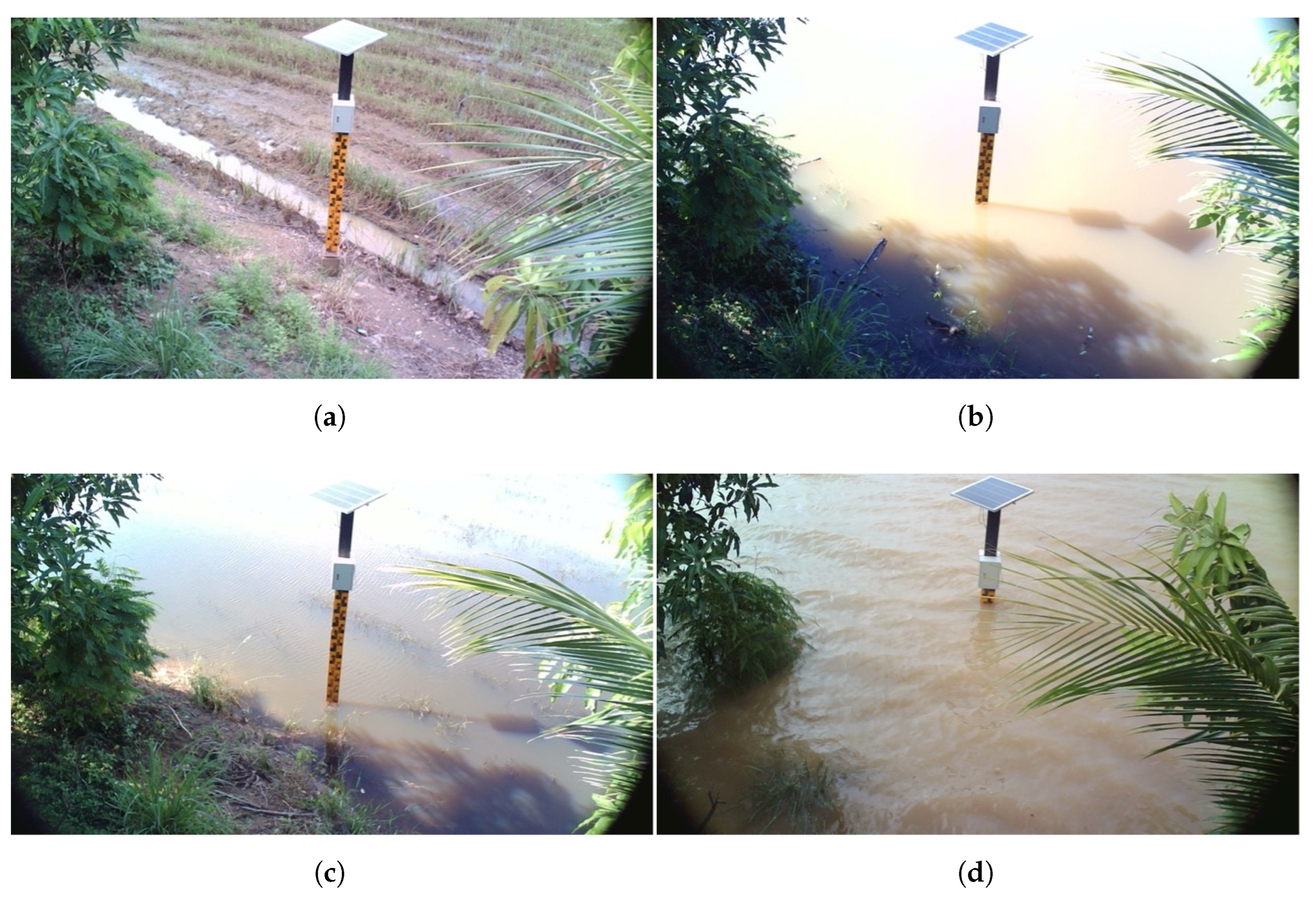 Preprints 164055 g009